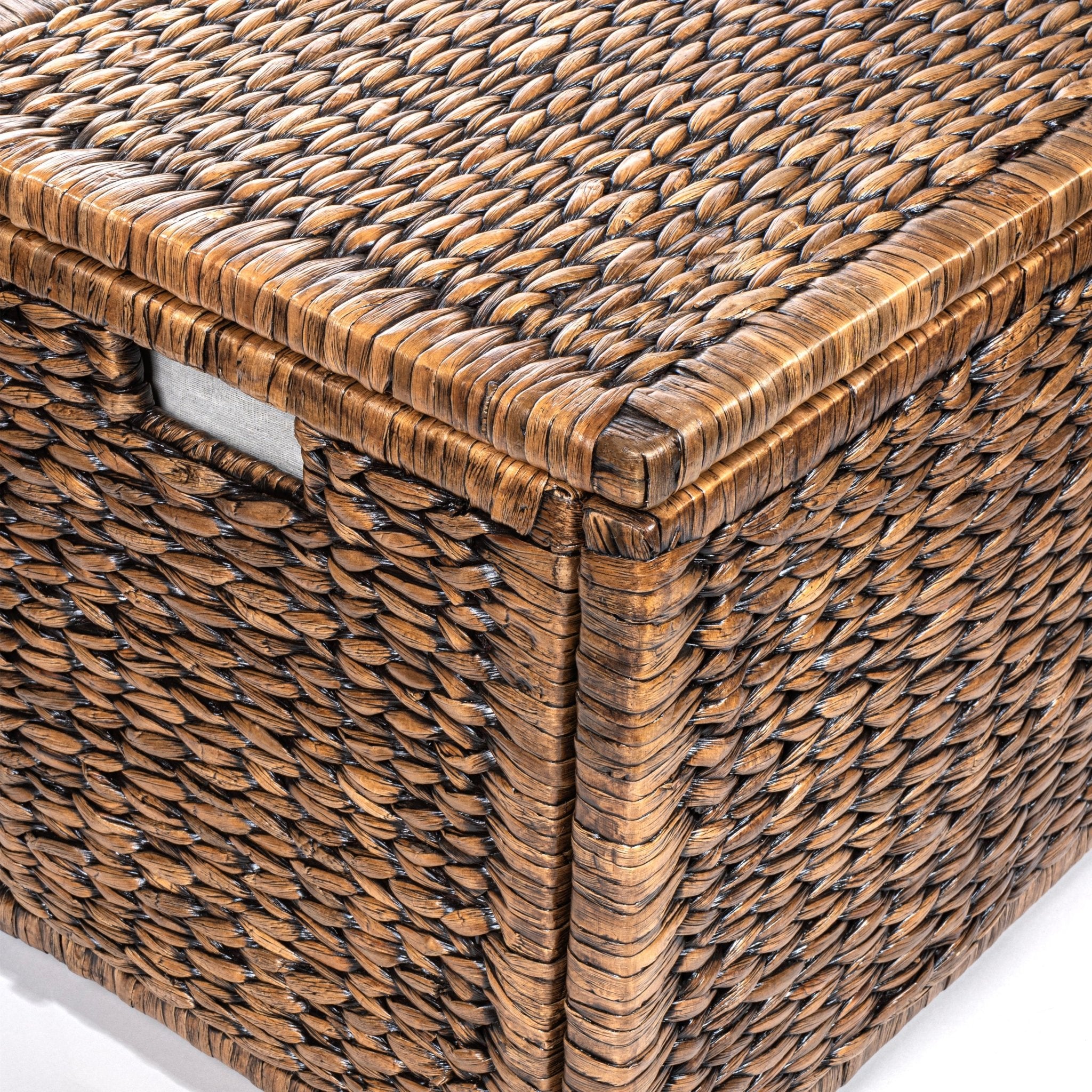 Anada 30" Handwoven Wicker Weave Storage Trunk - Trunks