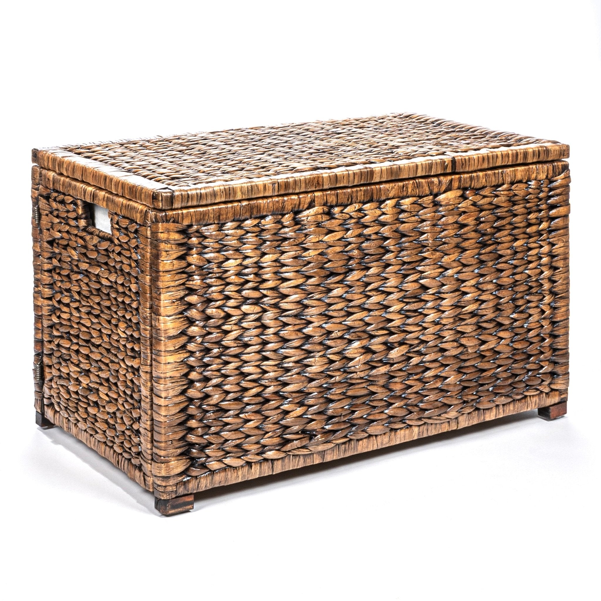 Anada 30" Handwoven Wicker Weave Storage Trunk - Trunks