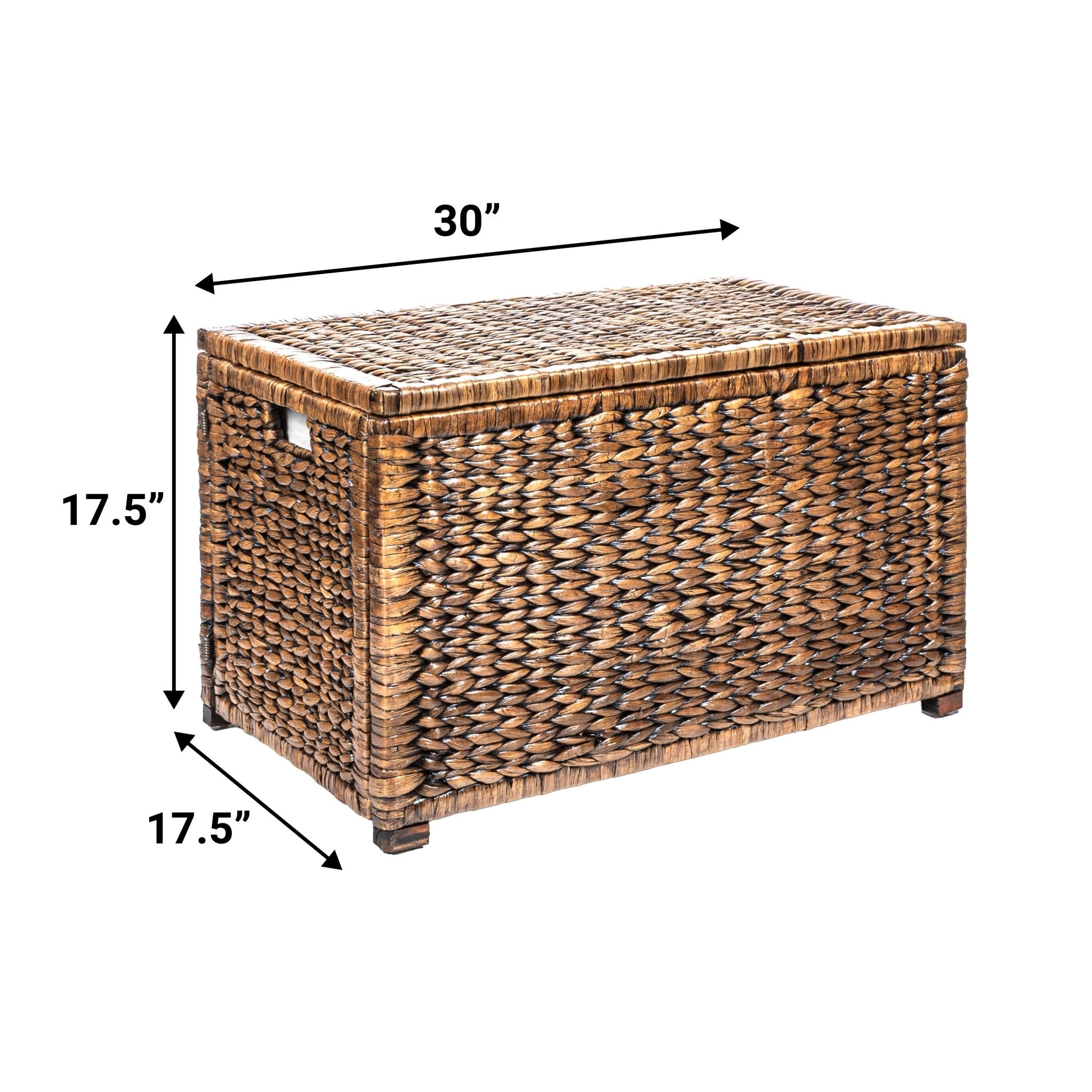 Anada 30" Handwoven Wicker Weave Storage Trunk - Trunks