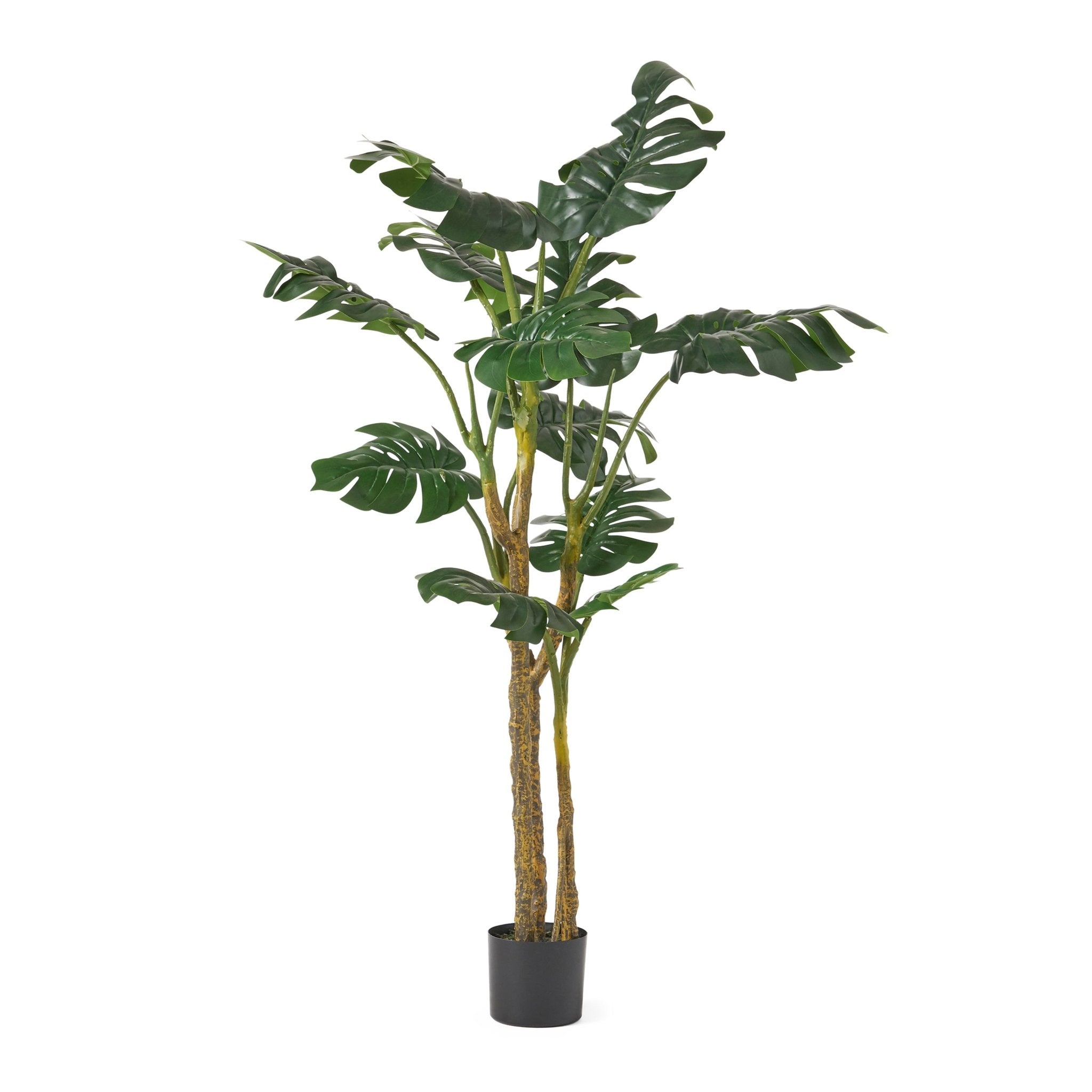 Artificial Monstera Tree - Potted Trees