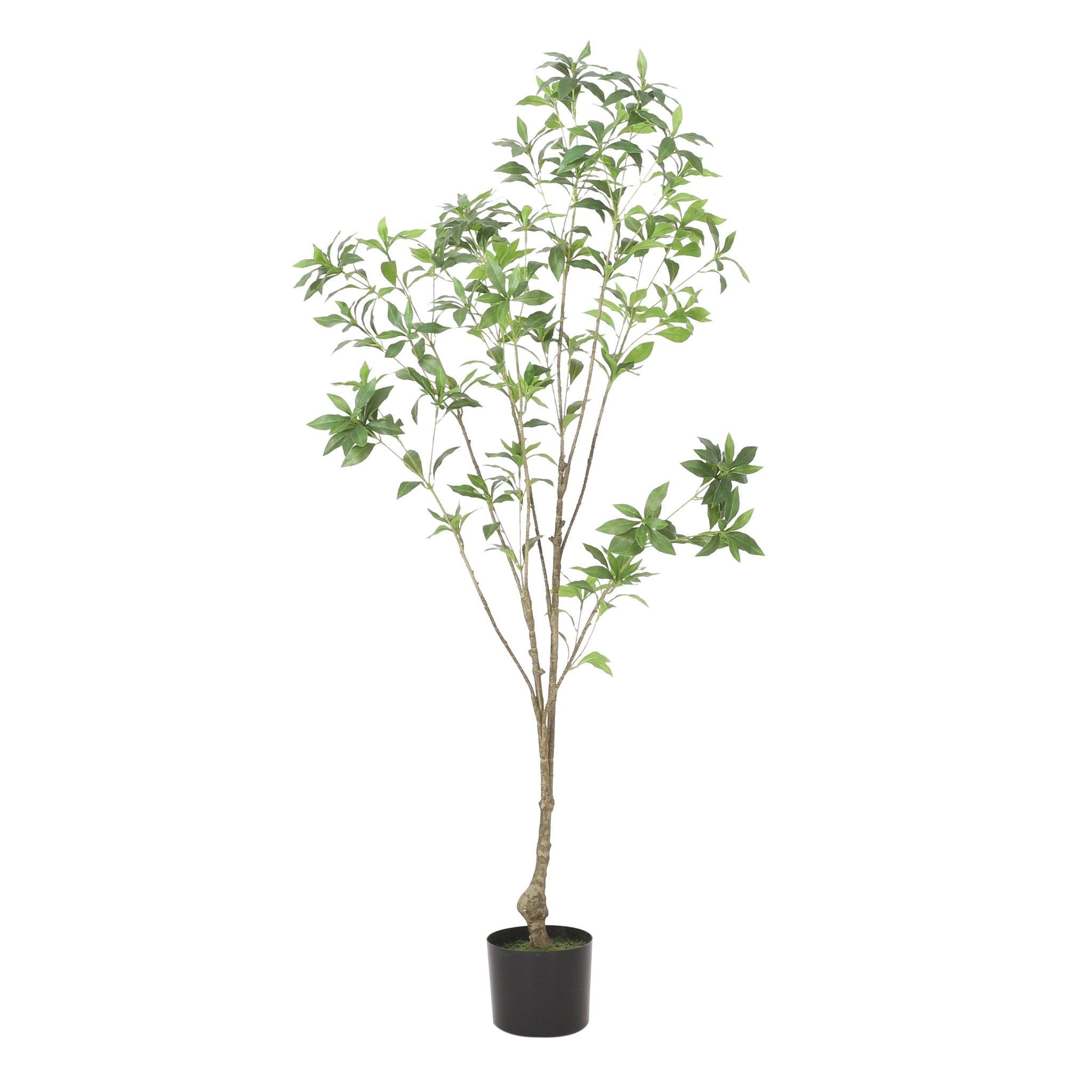 Artificial Pieris Tree - Potted Trees