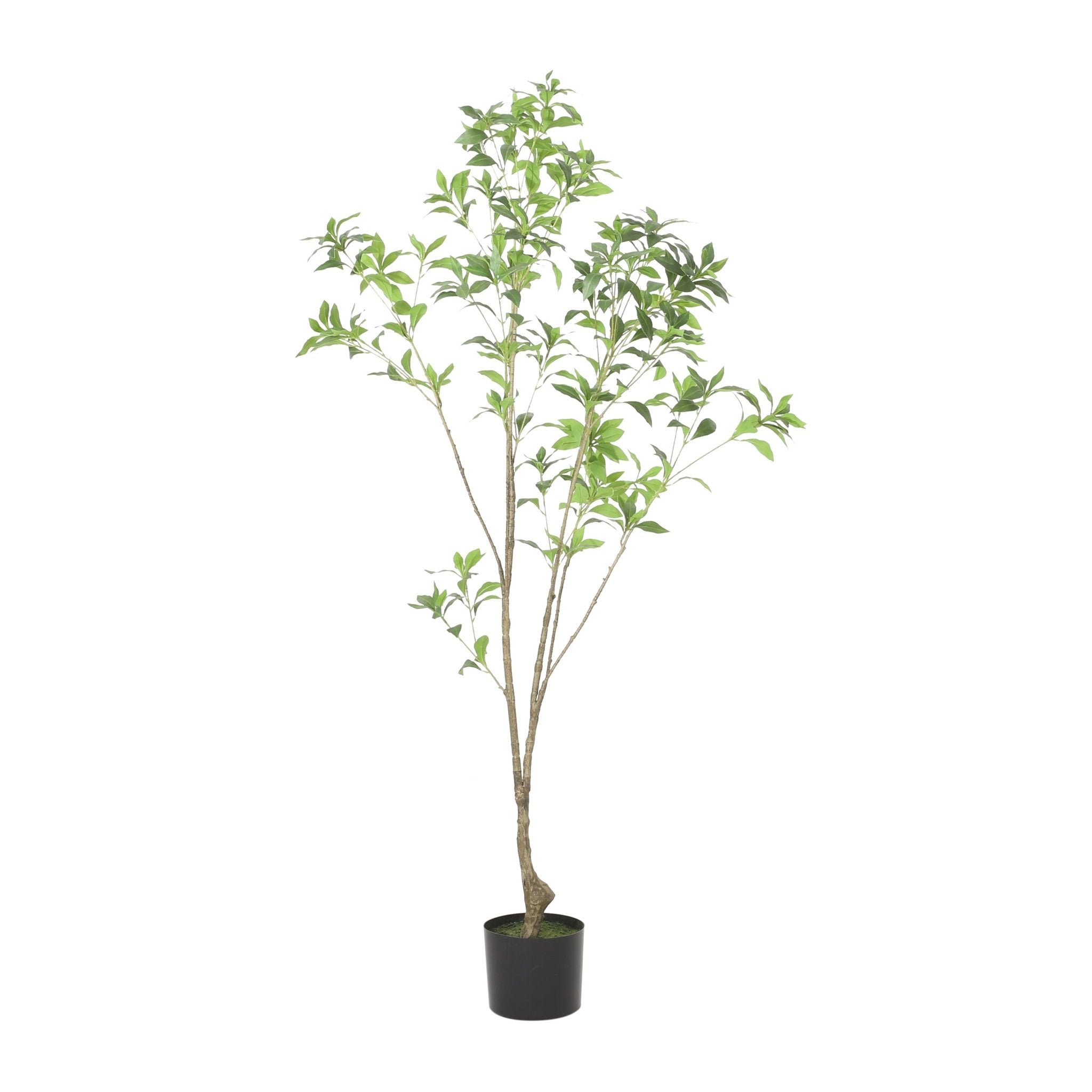 Artificial Pieris Tree - Potted Trees