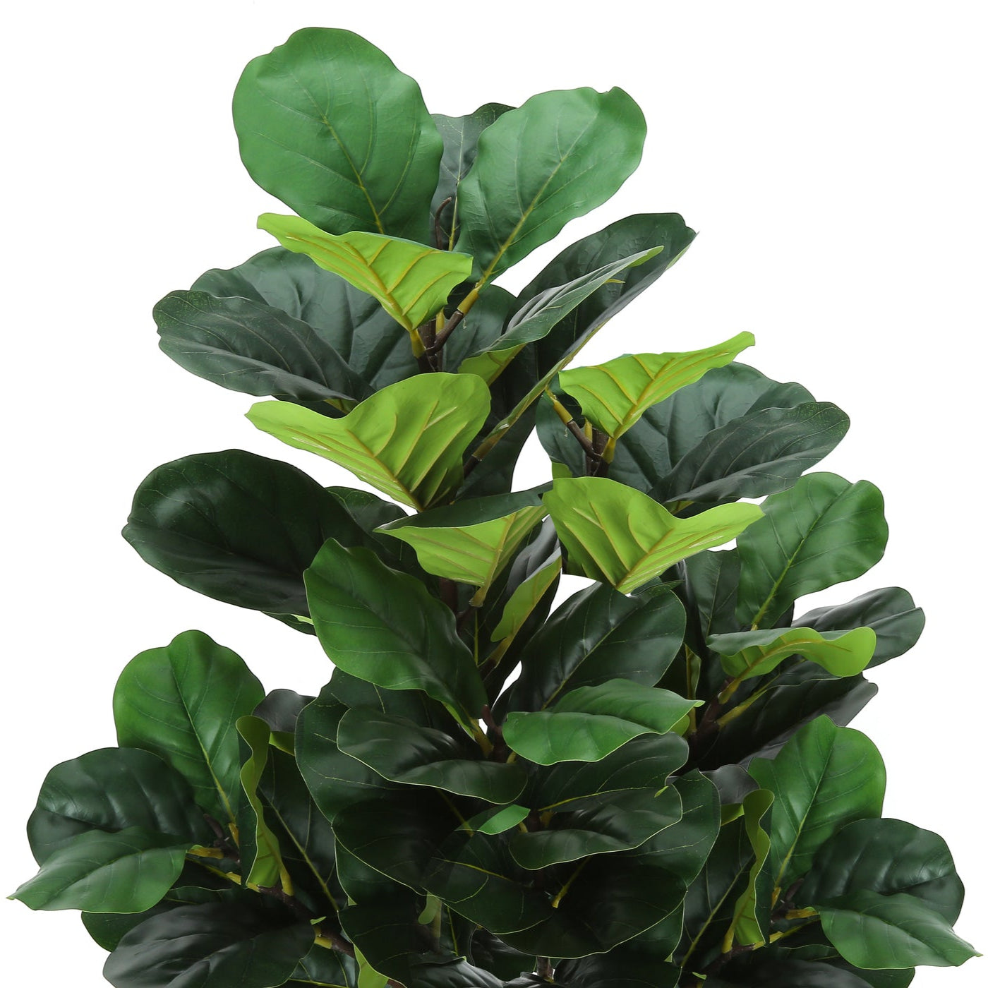 47" Tall Artificial Fiddle Tree with Pot