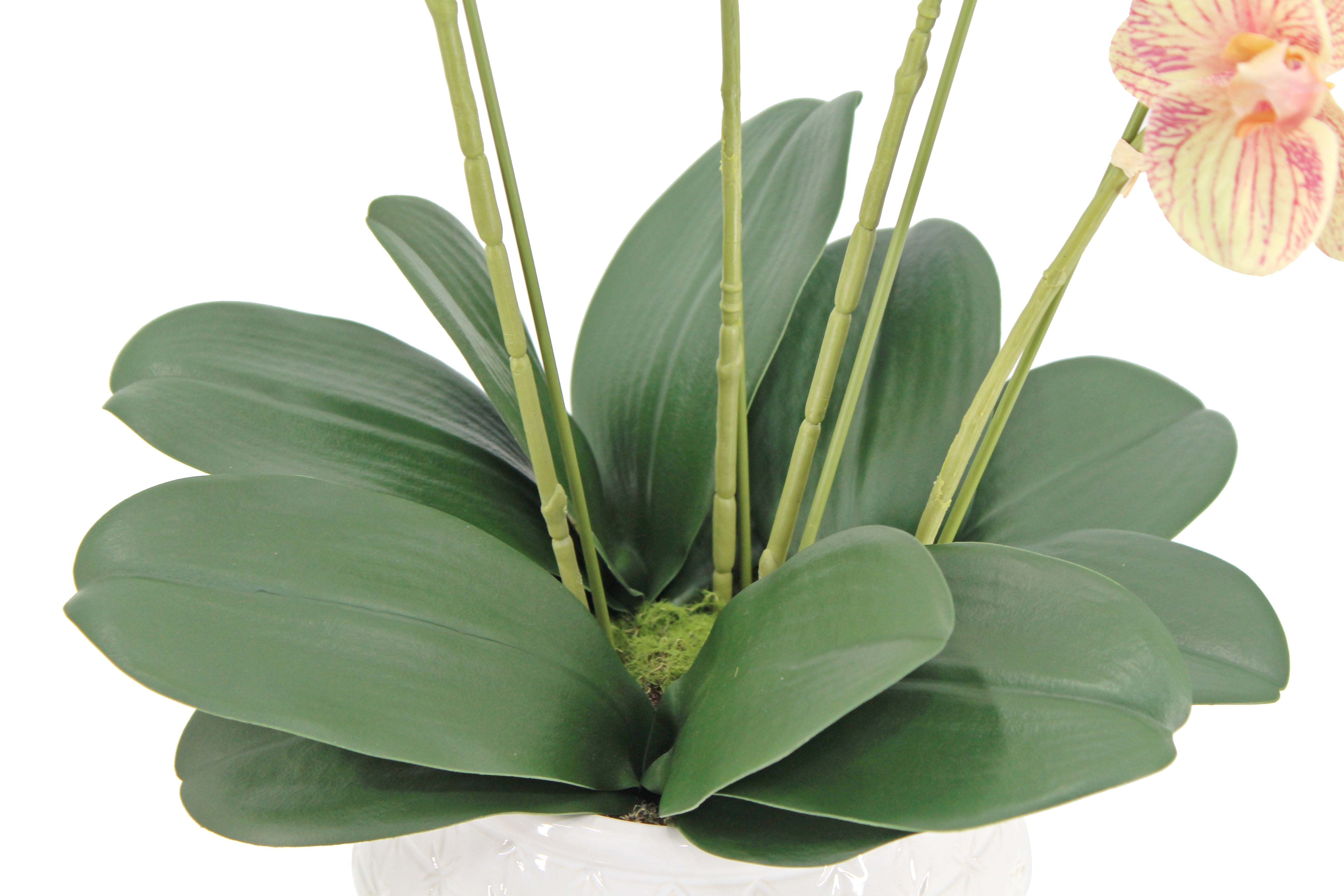 Faux Potted  Phalaenopsis Orchid, 23 in