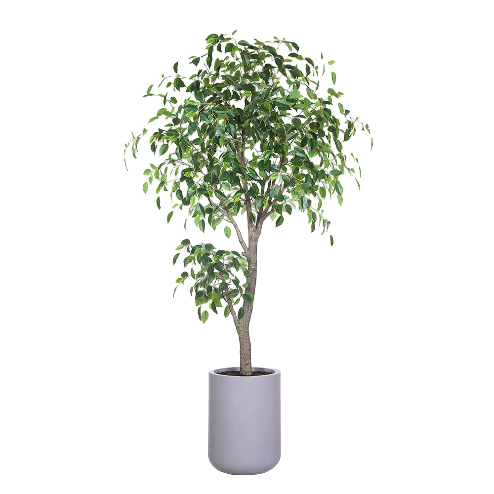 Faux Ficus Tree with Artisan Planter, 6.5 ft