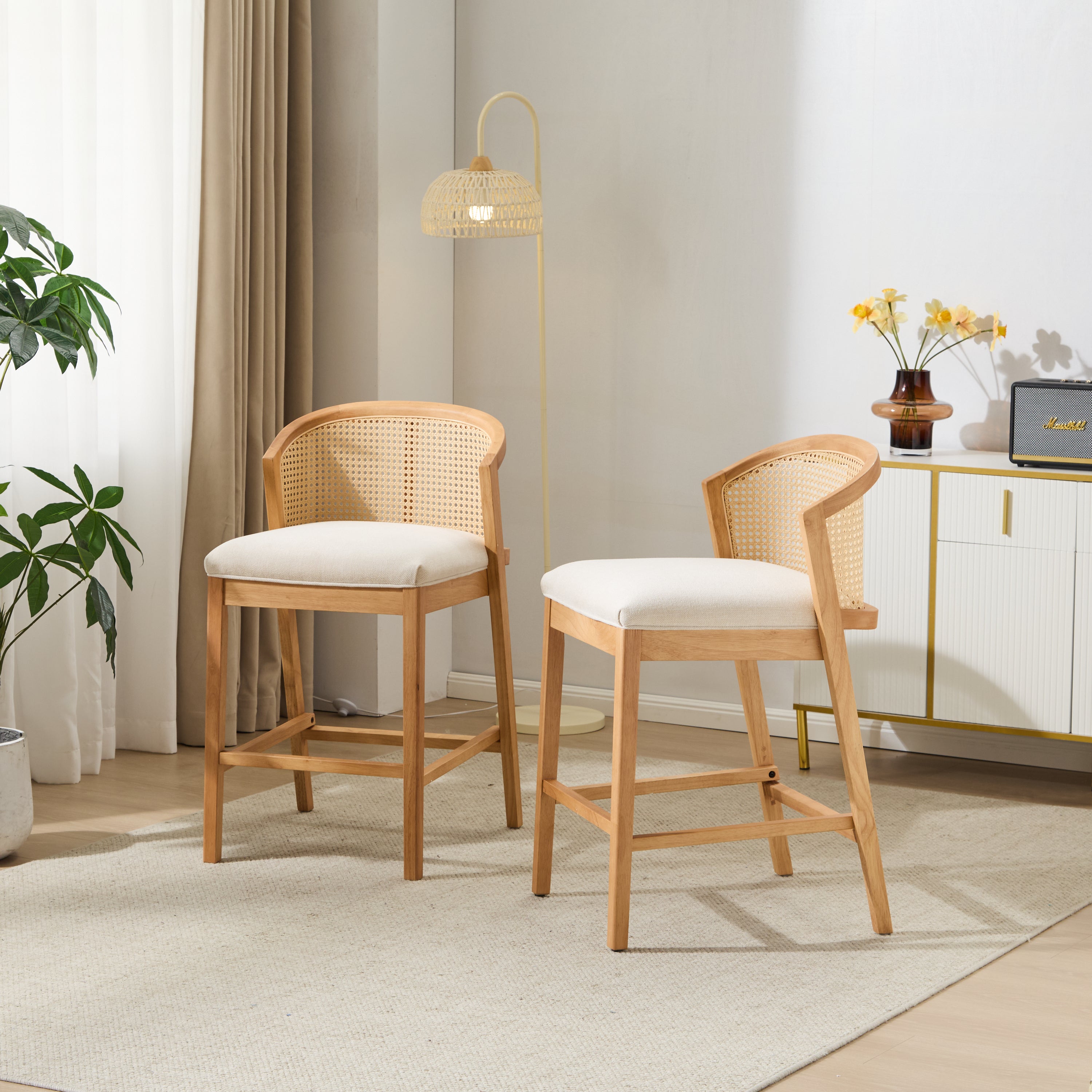 Tatti Indoor Wooden Counter Stool, Set of 2