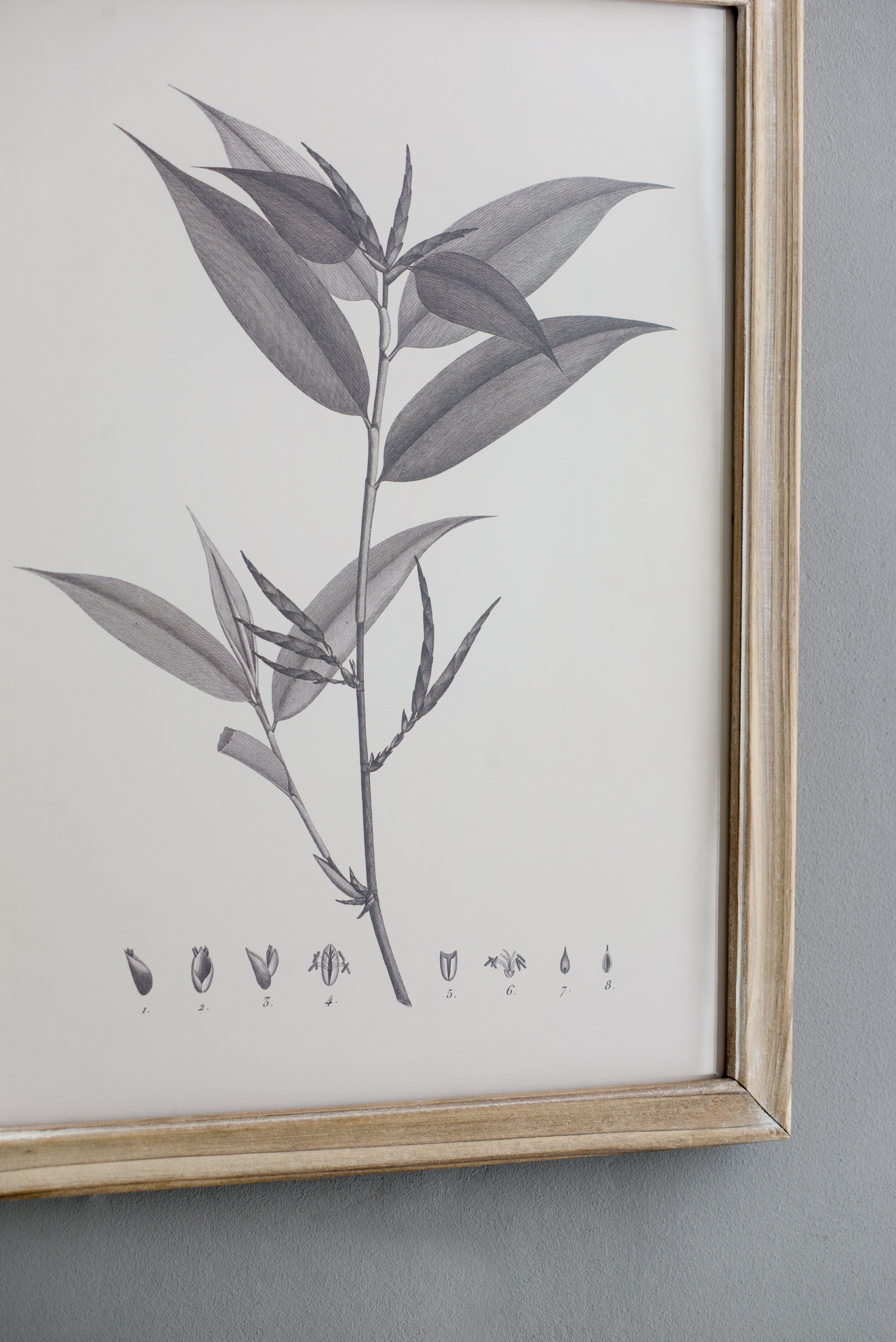 Botanical Wall Décor, Set of 4
