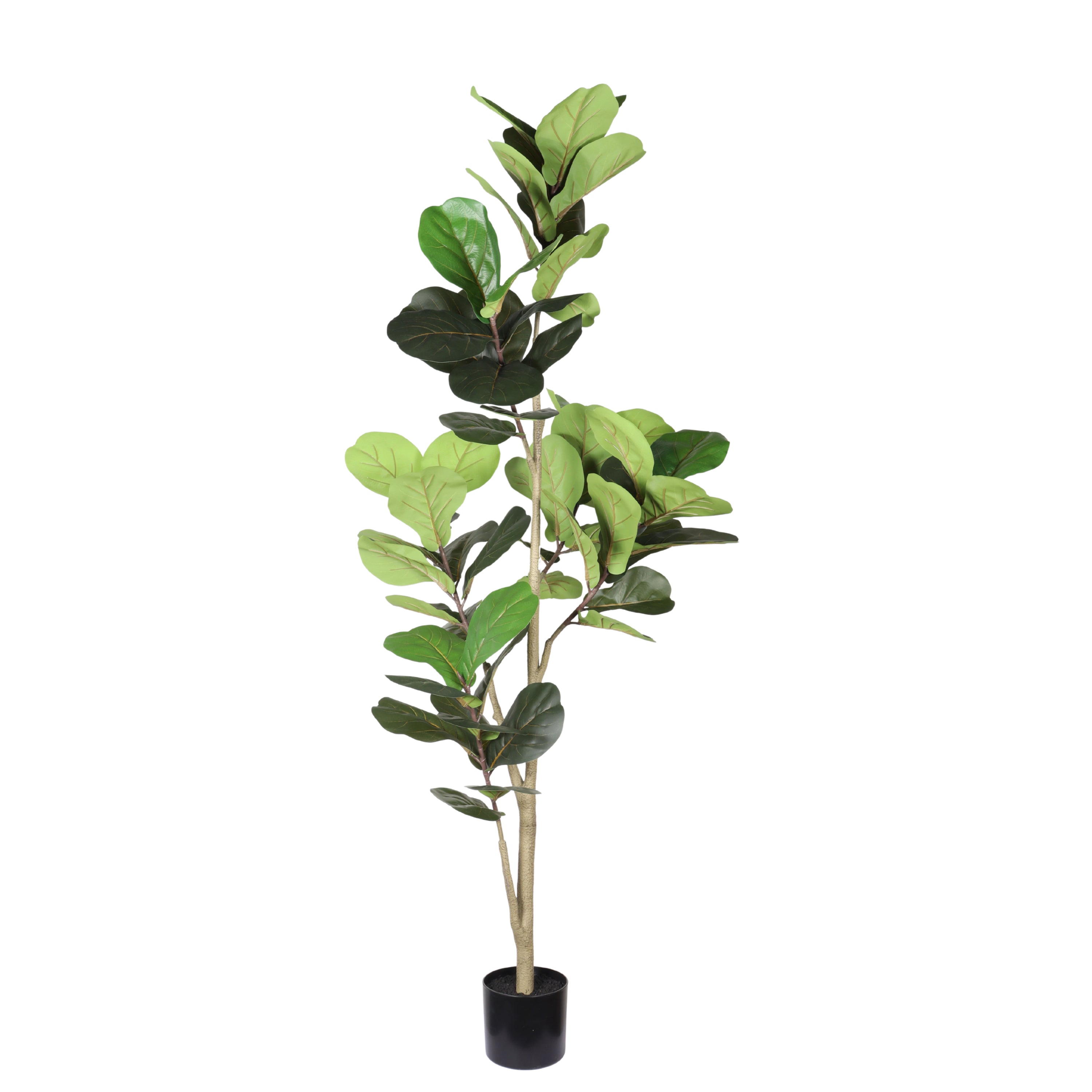 6ft Real Touch Faux Fiddle Leaf Fig Tree