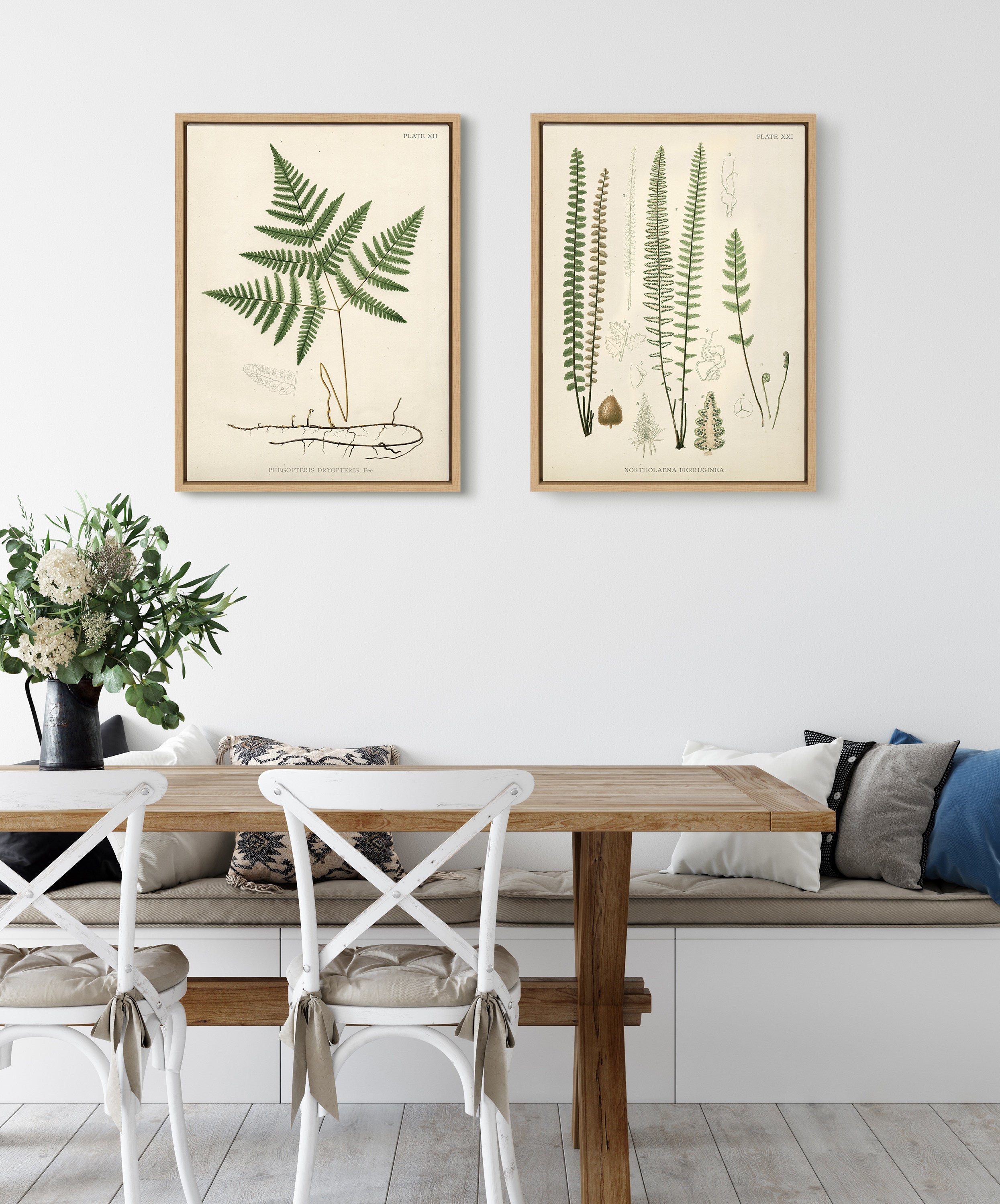 Sylvie Ferns Framed Canvas Set by Corinna Buchholz of Piddix