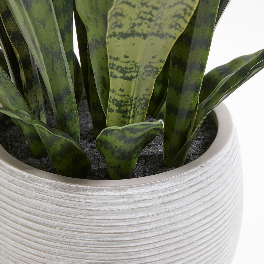 Premium Fake Snake Plant leaf closeup of the natural variety and texture of the leaves which look lifelike