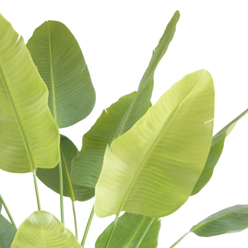 Faux Bird of Paradise with Pot, 8 ft