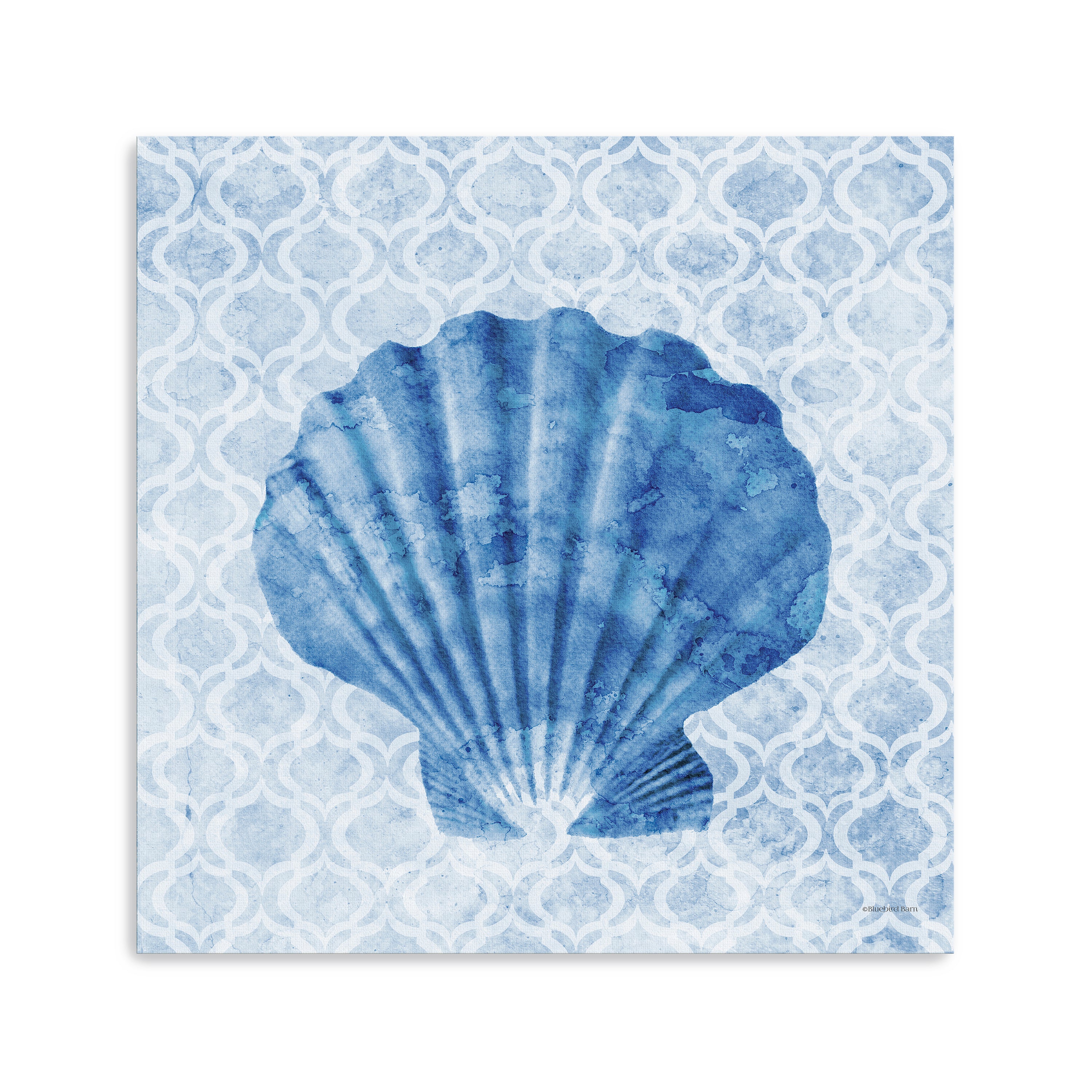 Seashell I Canvas Giclee