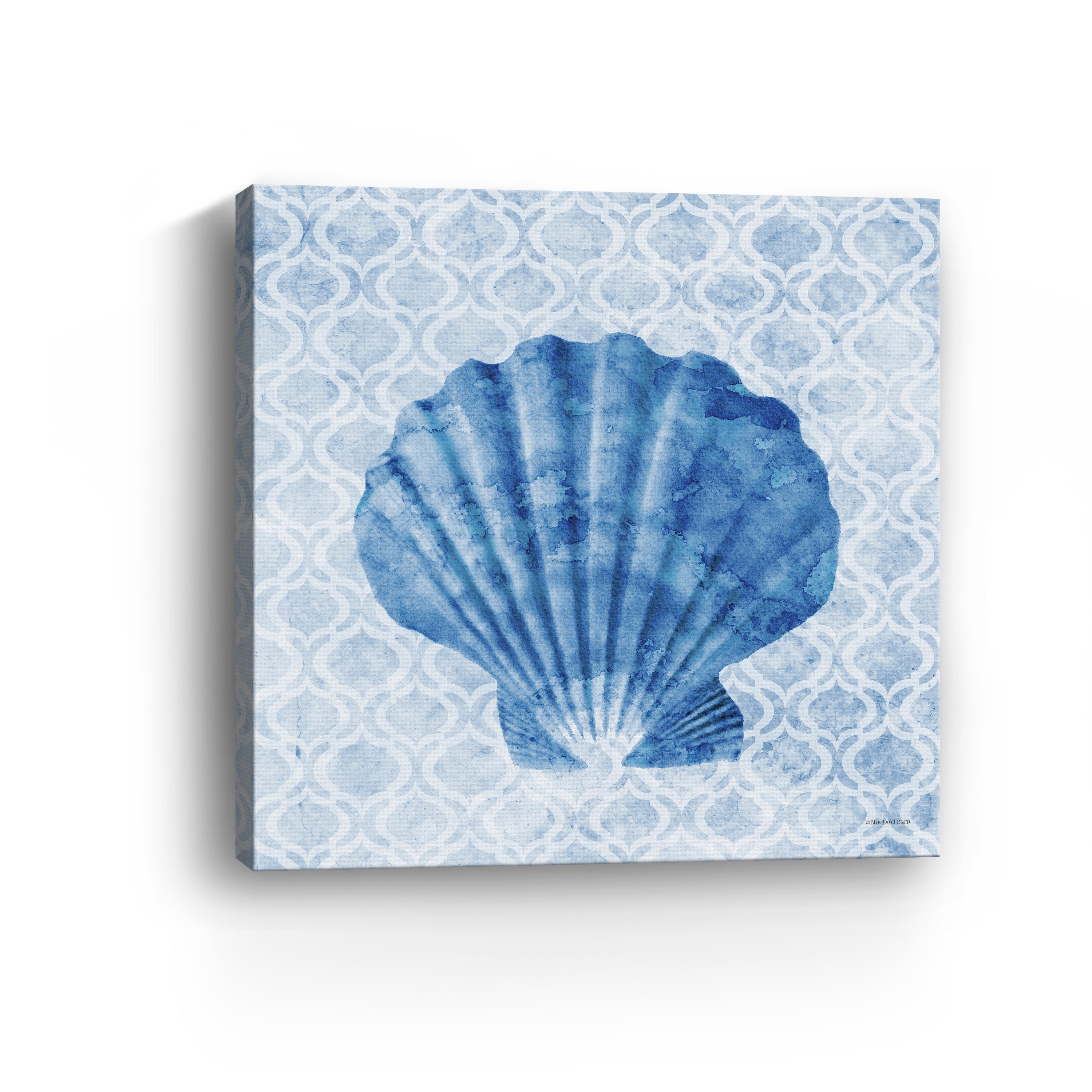 Seashell I Canvas Giclee