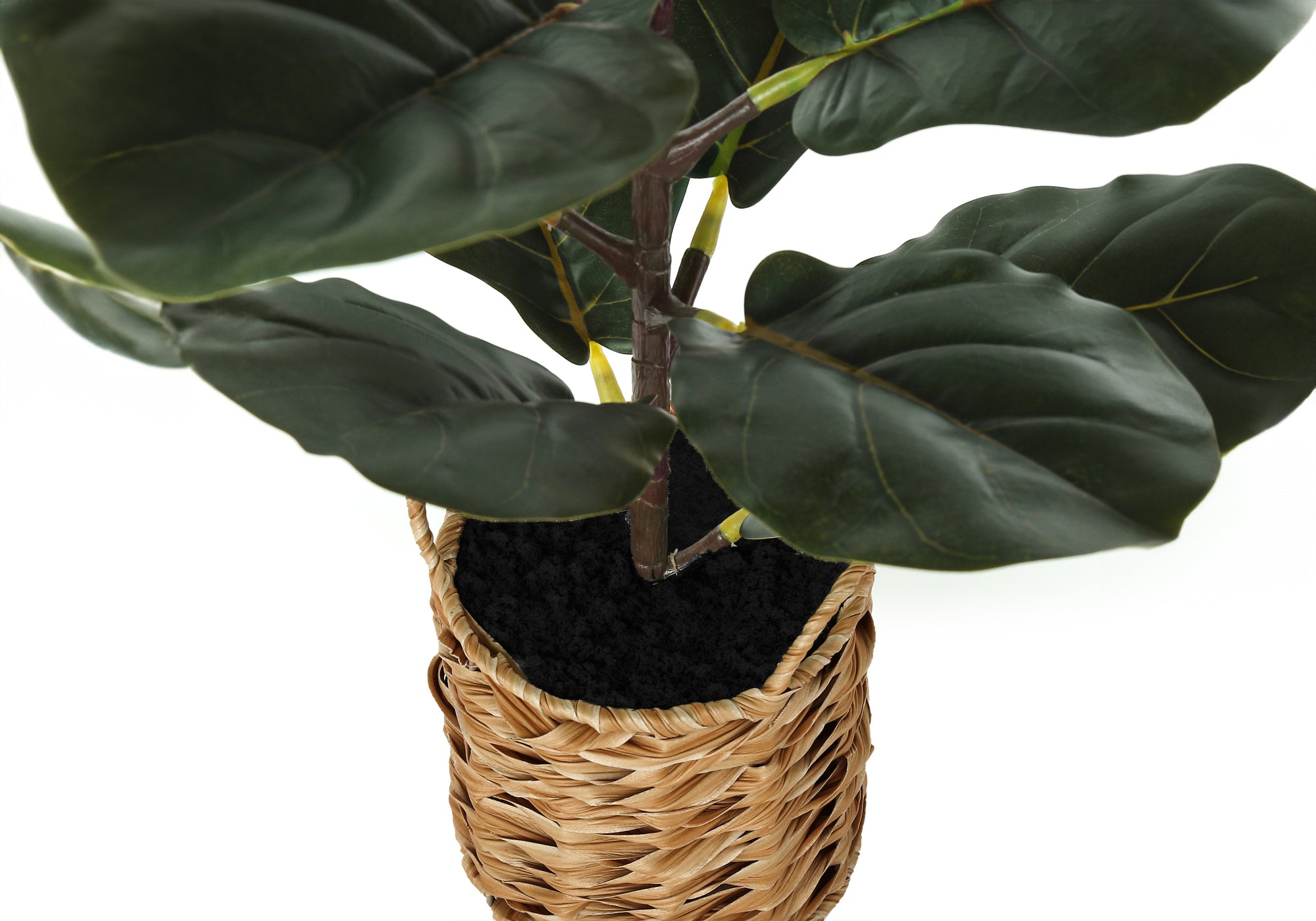 28" Tall Artificial Fiddle Tree with Woven Basket