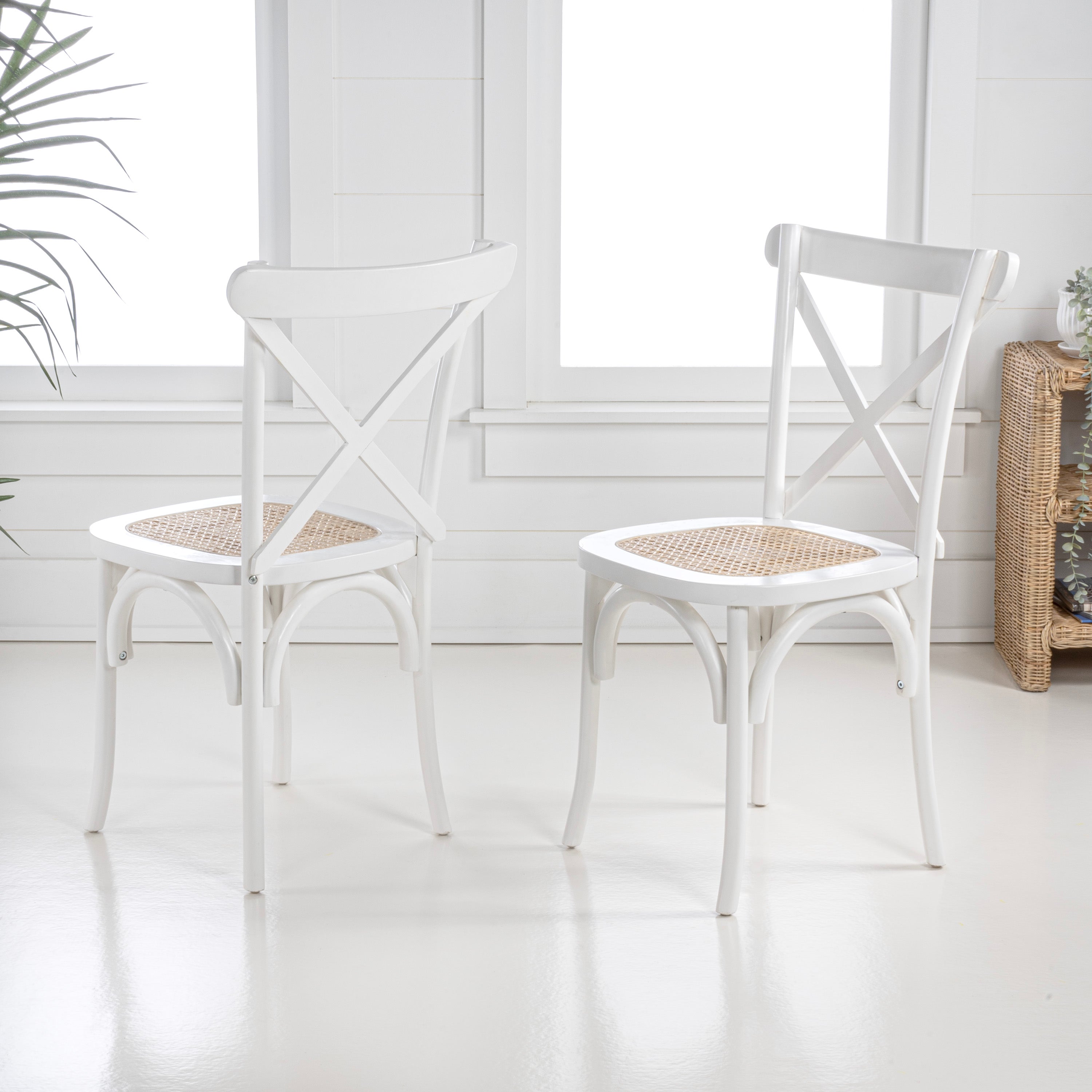 Cassis X-Back Wood Rattan Dining Chair, Set of 2