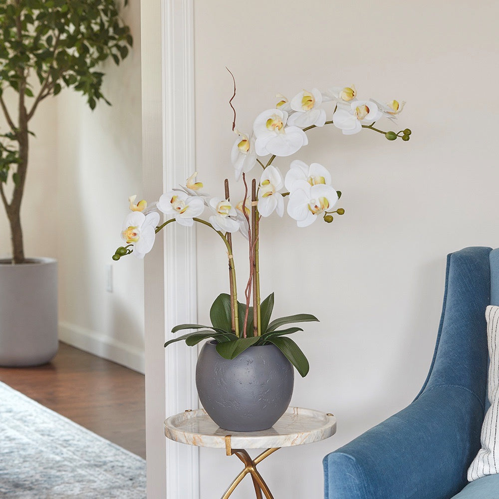Premium Faux White Double Stem Orchid with lifelike blooms in a modern gray round pot adds beauty to any room and looks great on a small side table