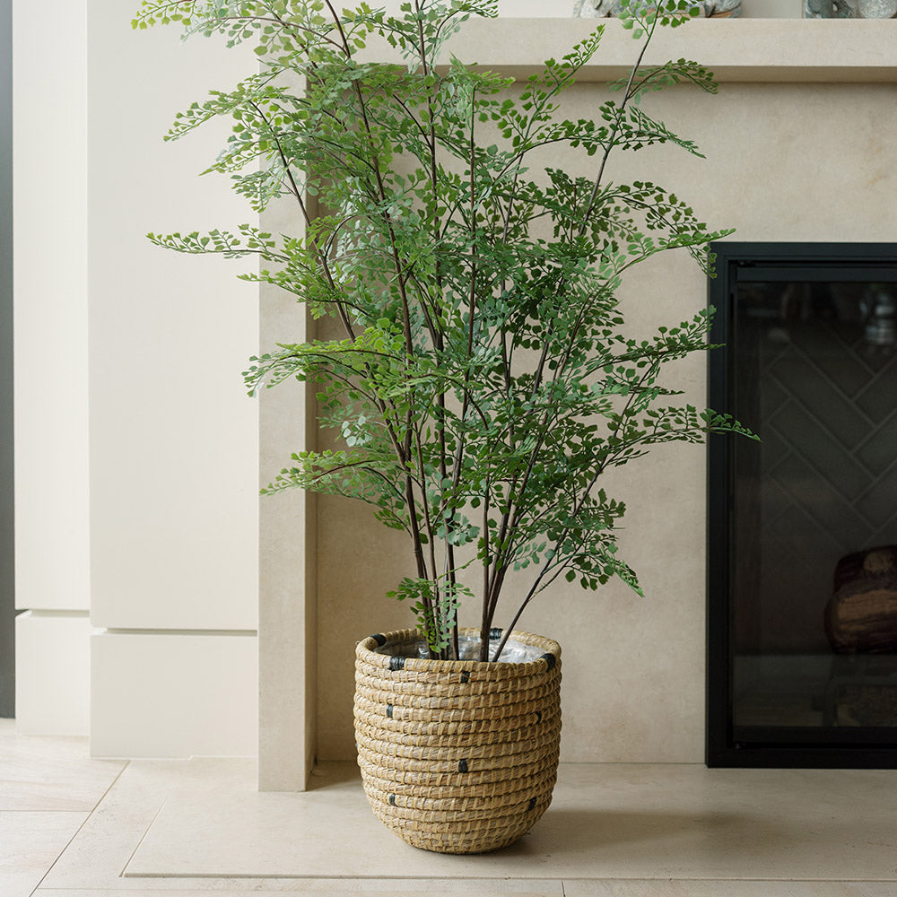 Faux Maidenhair Fern with Pot, 48 In