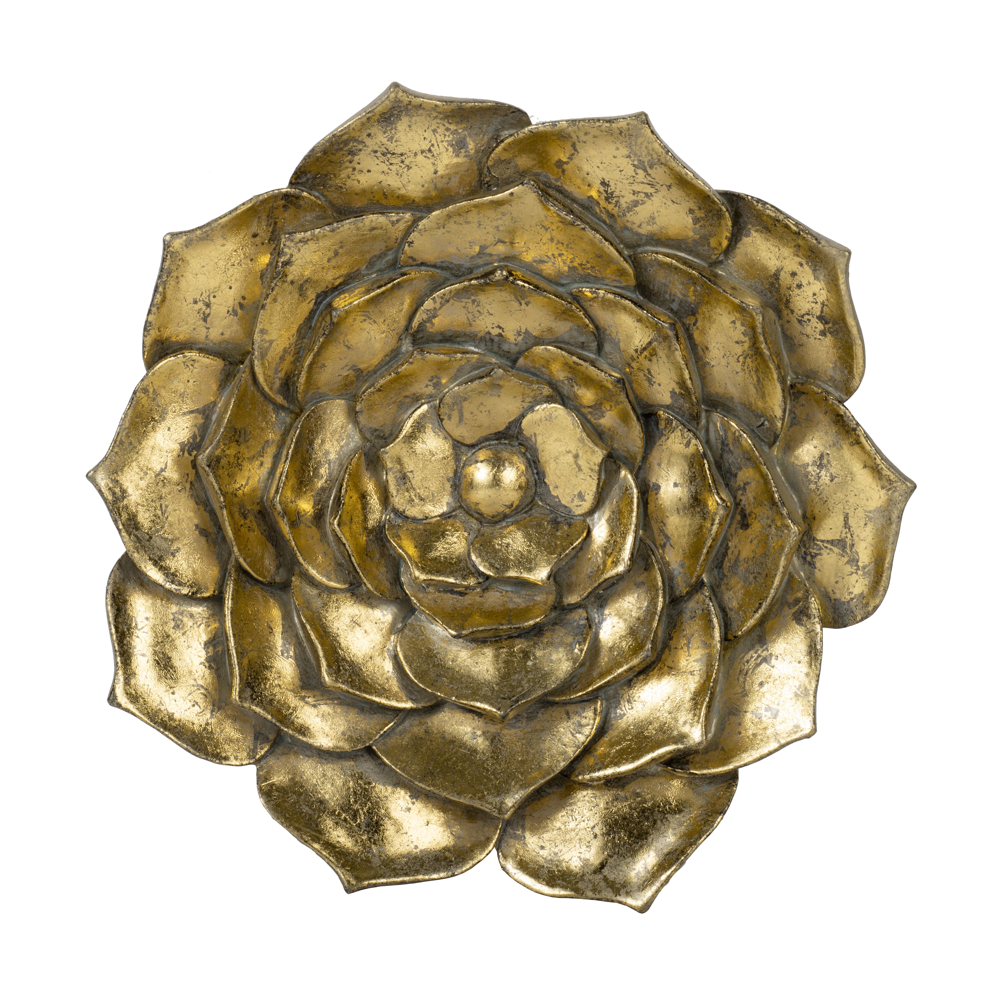Blossomz Succulent Wall Plaque with Flower Design