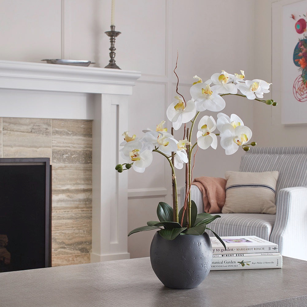 Faux White Double Stem Orchid