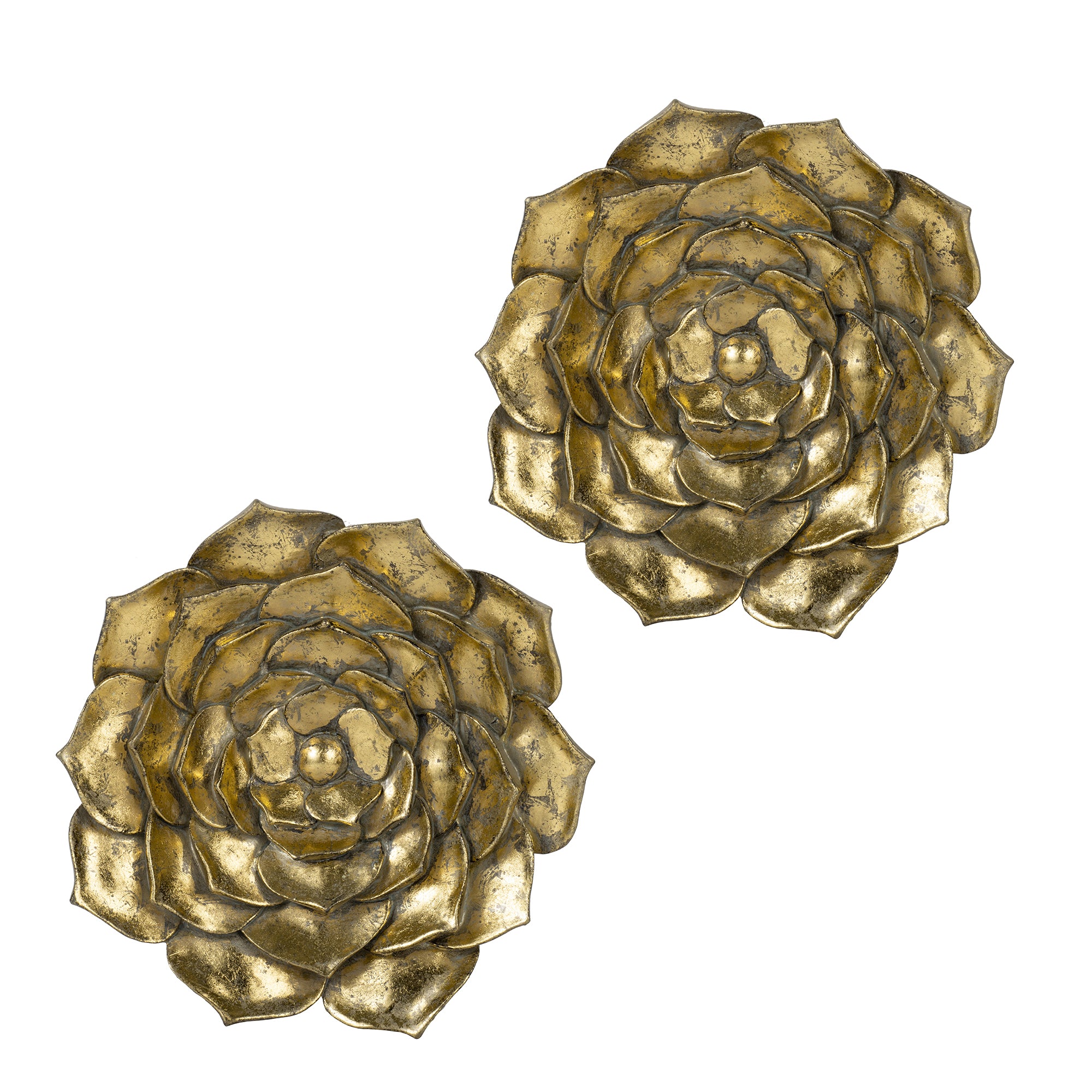 Blossomz Succulent Wall Plaque with Flower Design