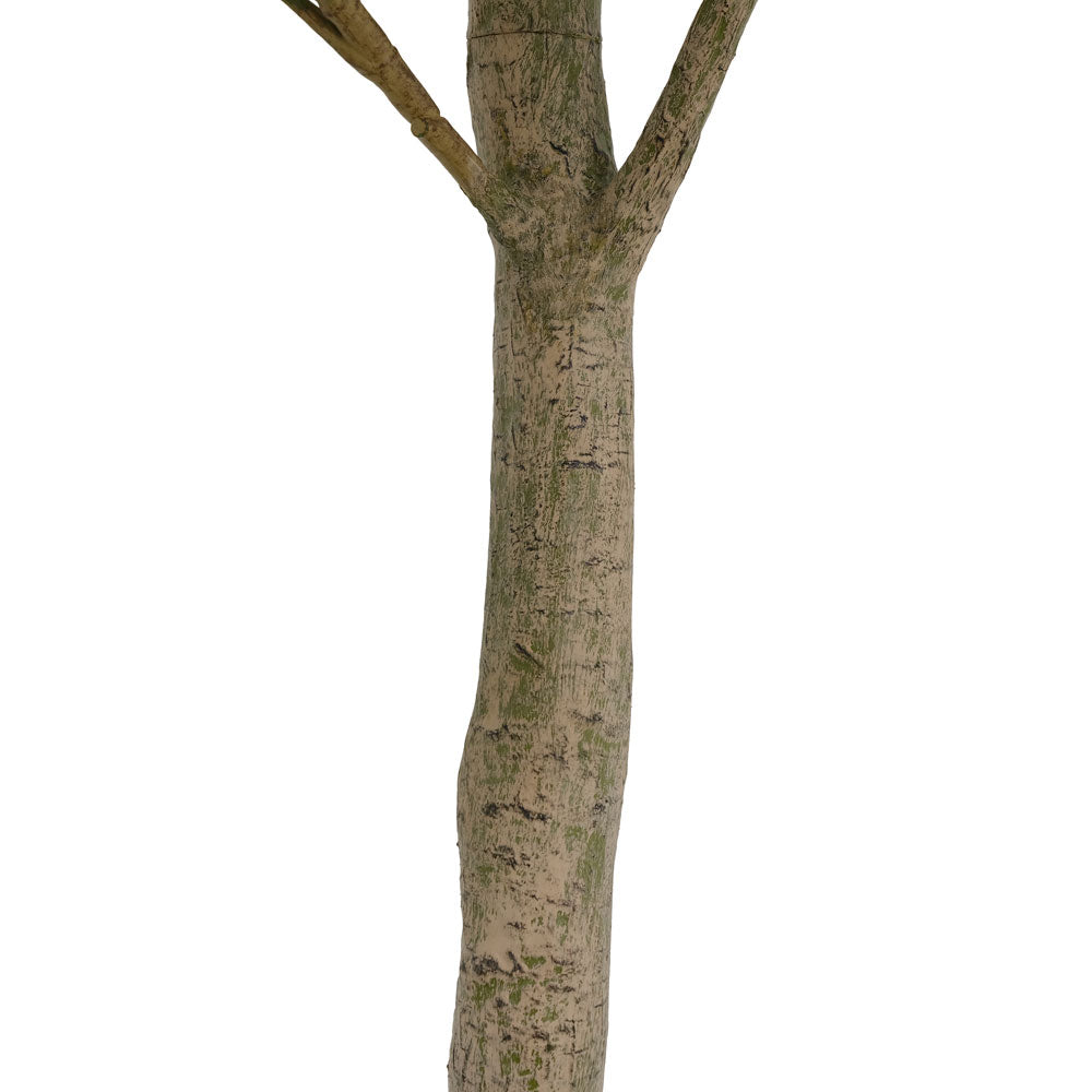 Faux Potted Money Tree, 7 ft