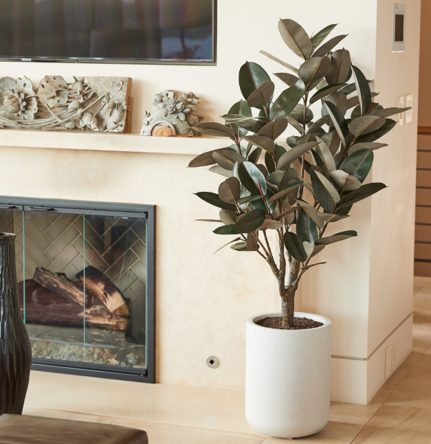 Faux Potted Rubber Tree, 5 ft