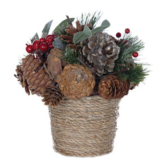 Potted Pinecone Berry Arrangement, Set of 2