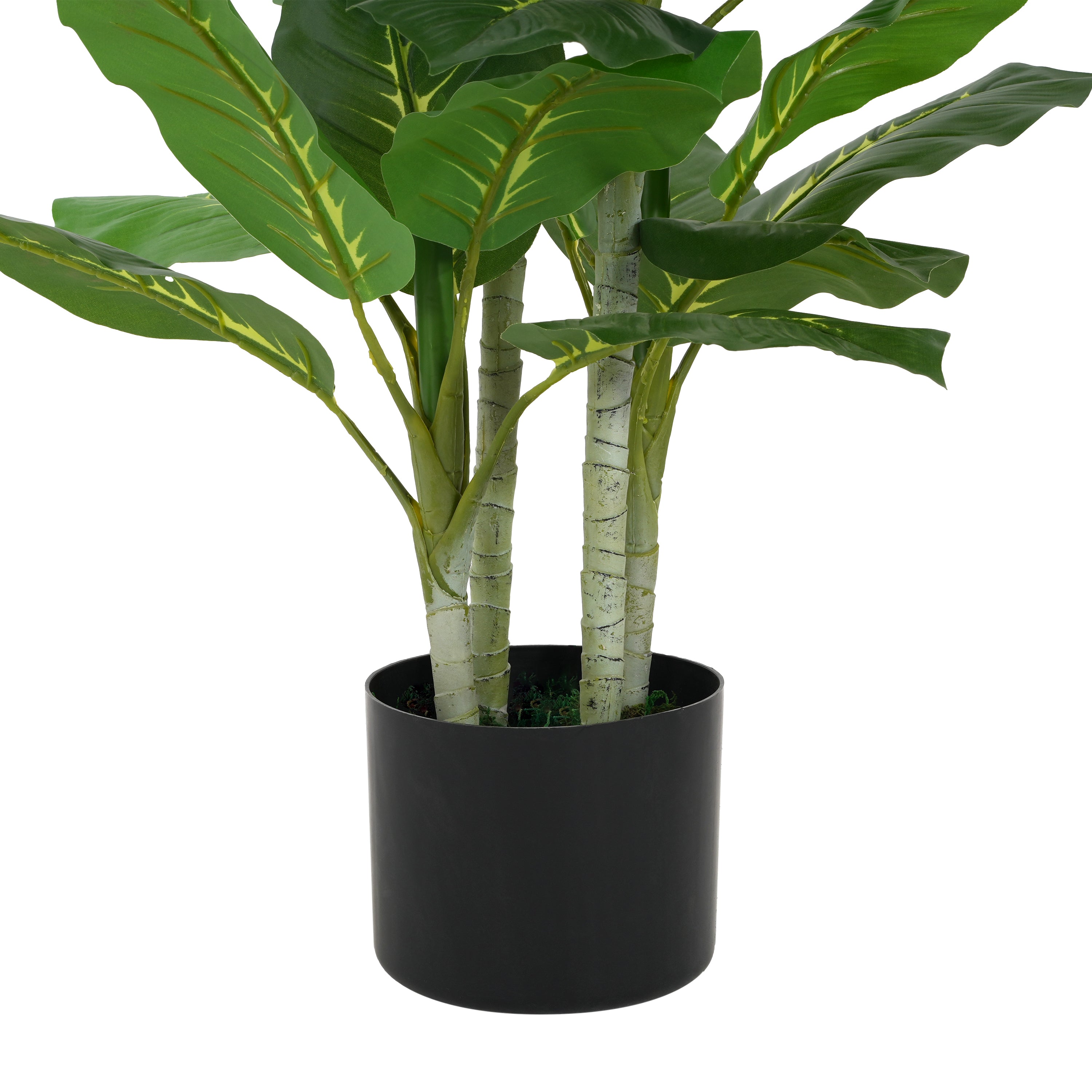 42" Artificial Dieffenbachia Plant with Black Plastic Pot