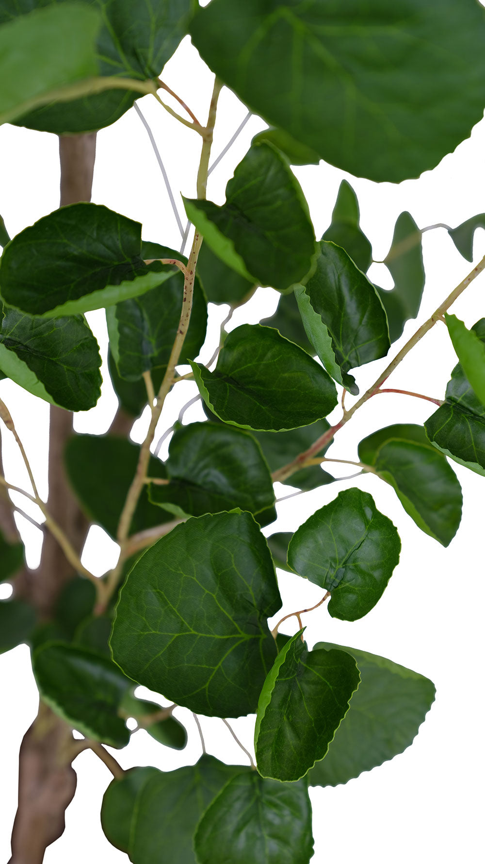 Faux Potted Eucalyptus Tree, 4 ft
