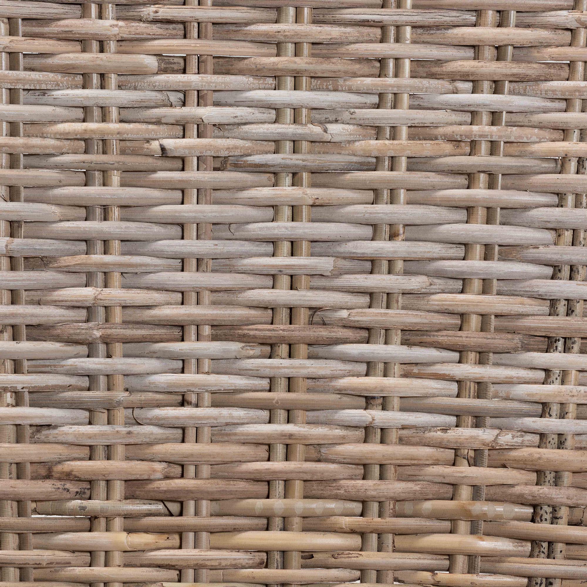 Asha Rattan and Wood Dining Chair