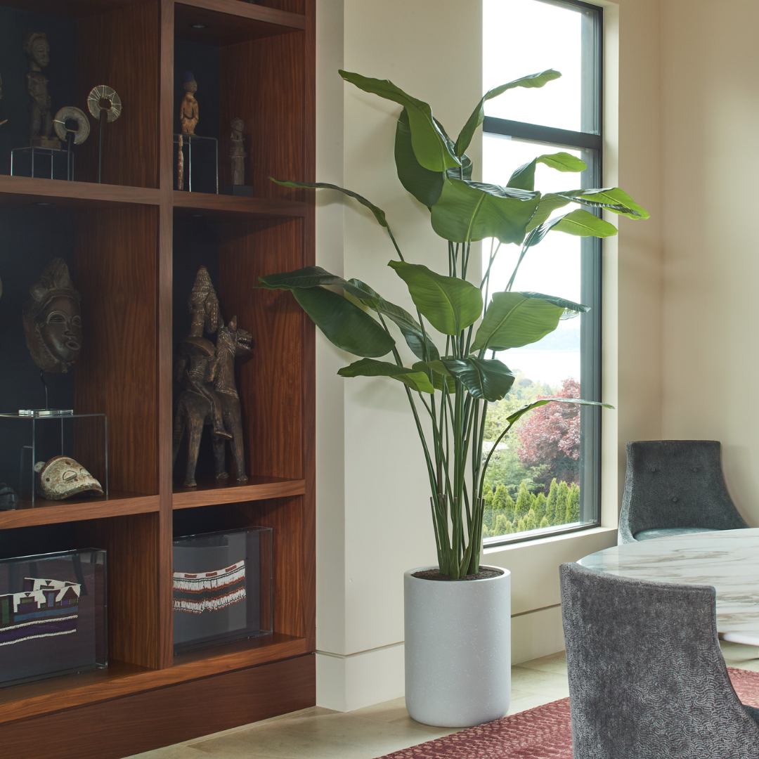 Faux Bird of Paradise with Pot, 8 ft