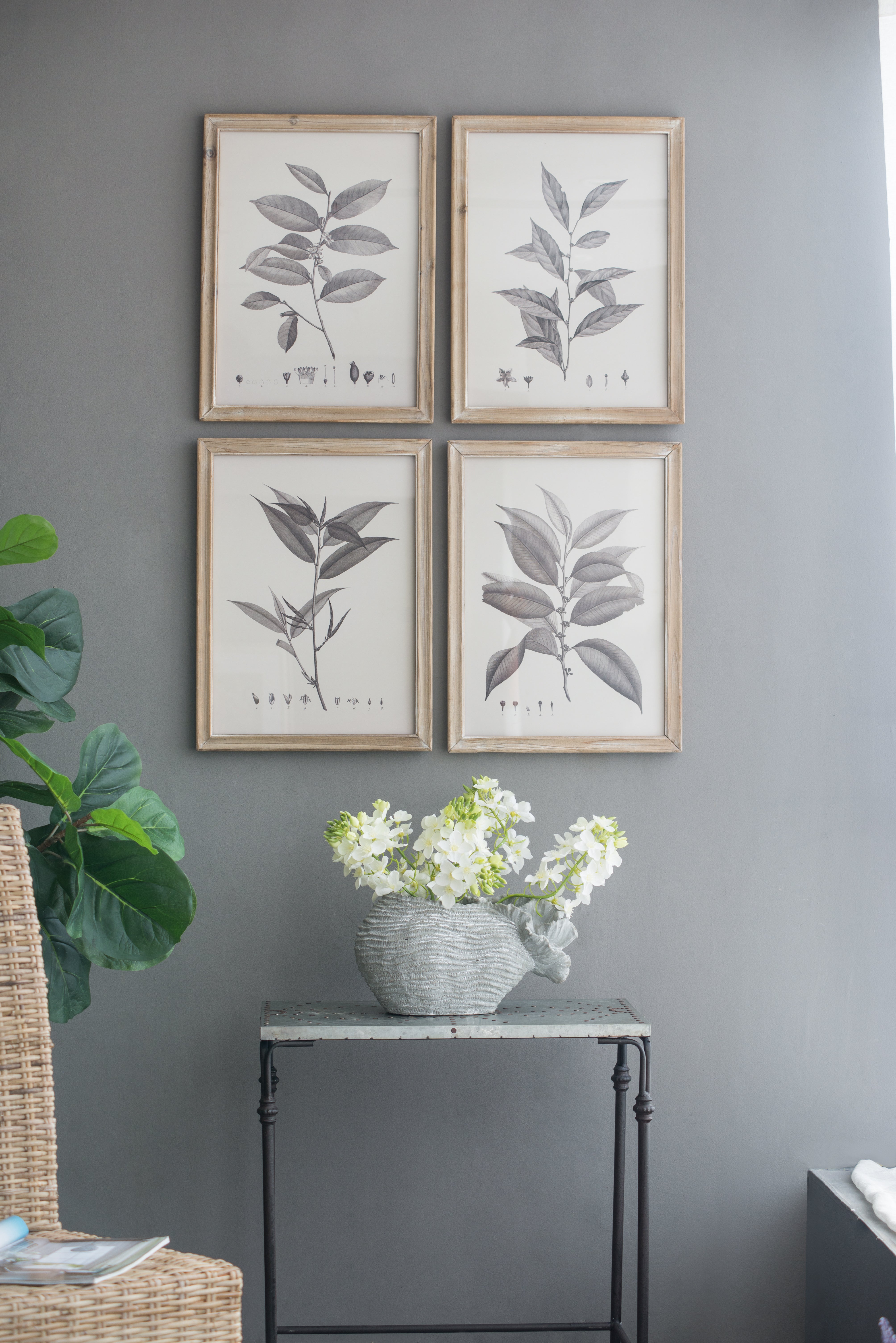 Botanical Wall Décor, Set of 4