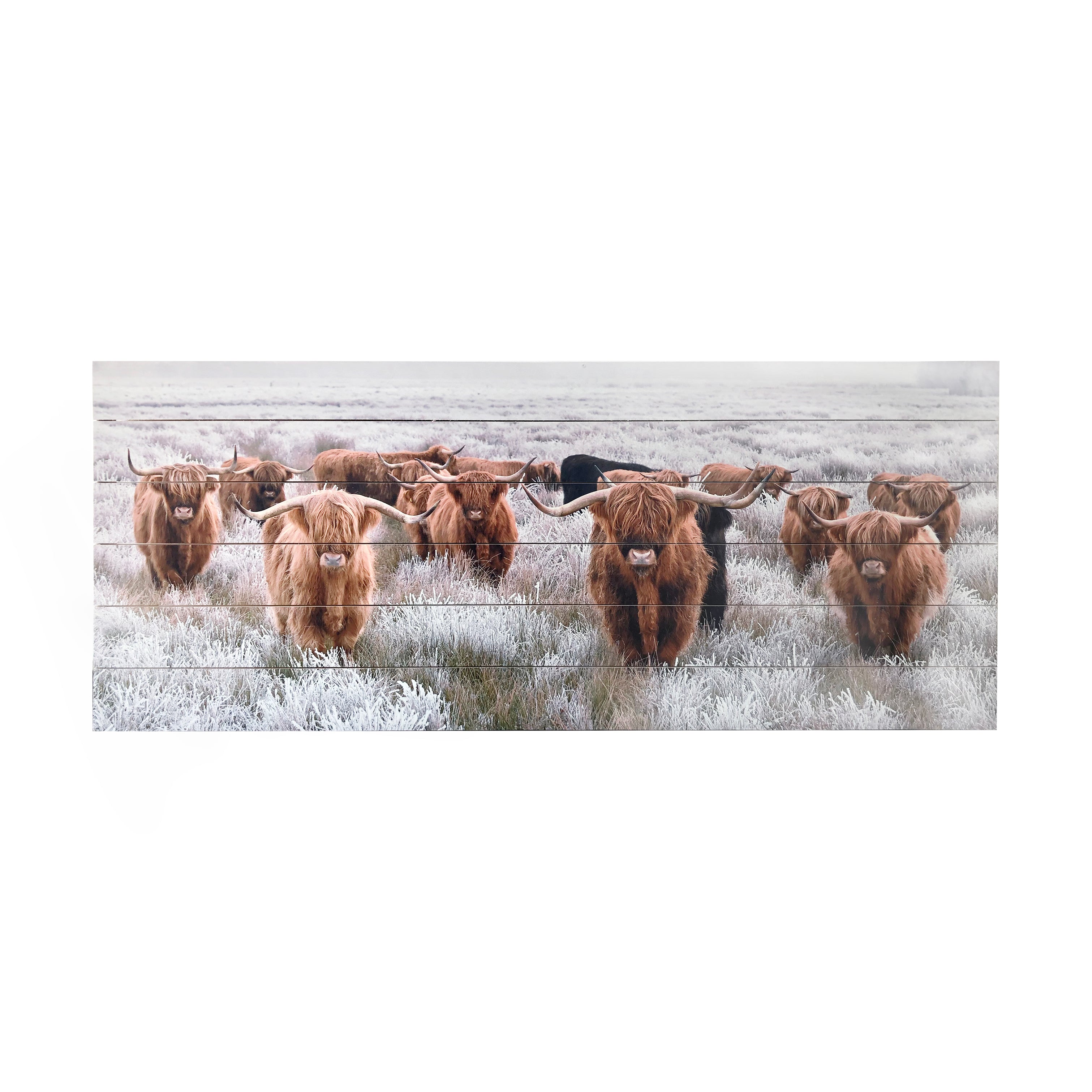 Highland Herd Photograph Print on Planked Wood Wall Art, 19"x45"
