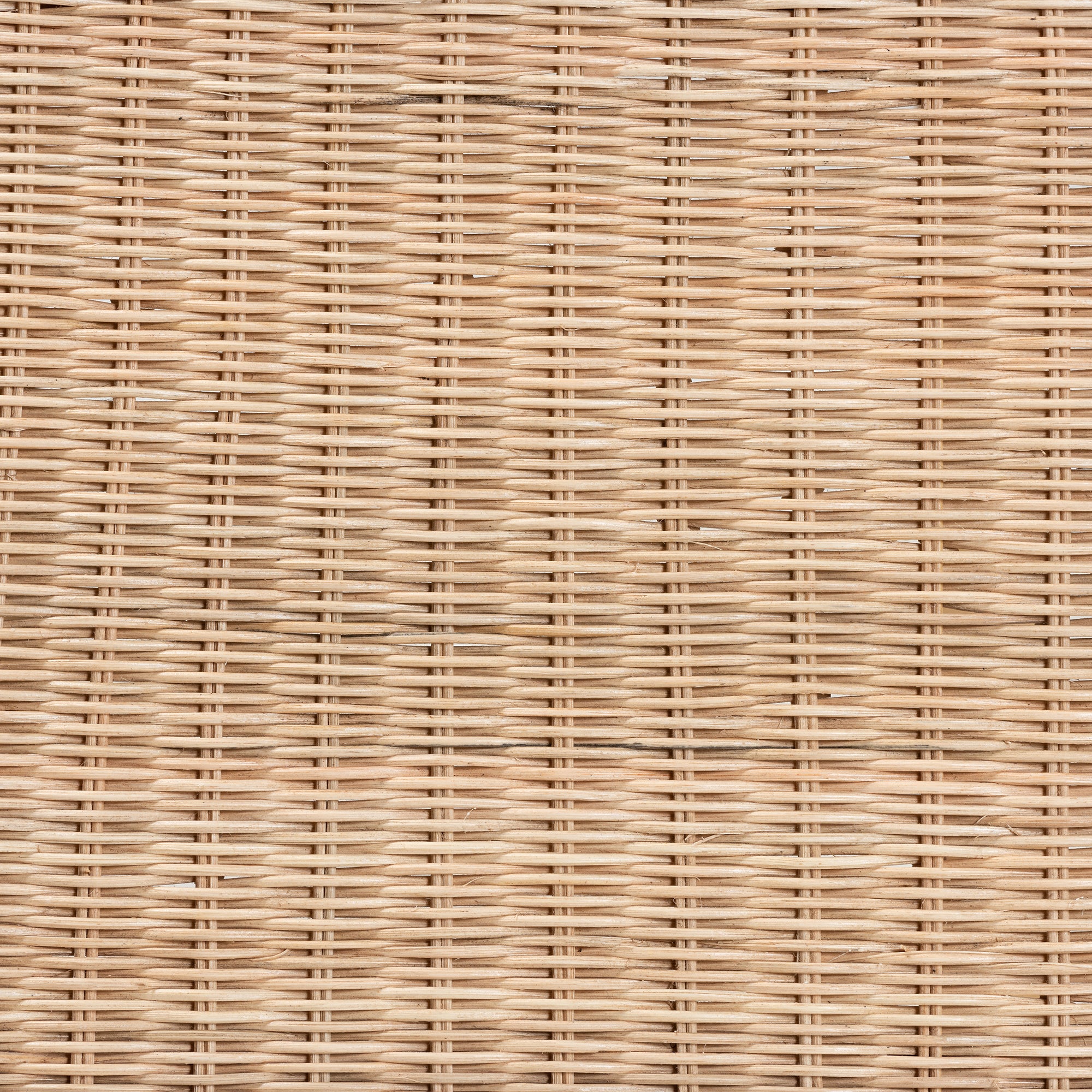 23992475