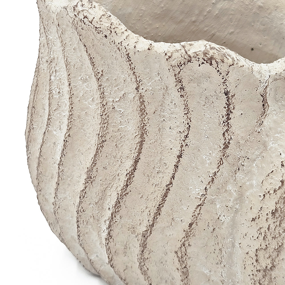 Conch Shell Planter with Textured Finish