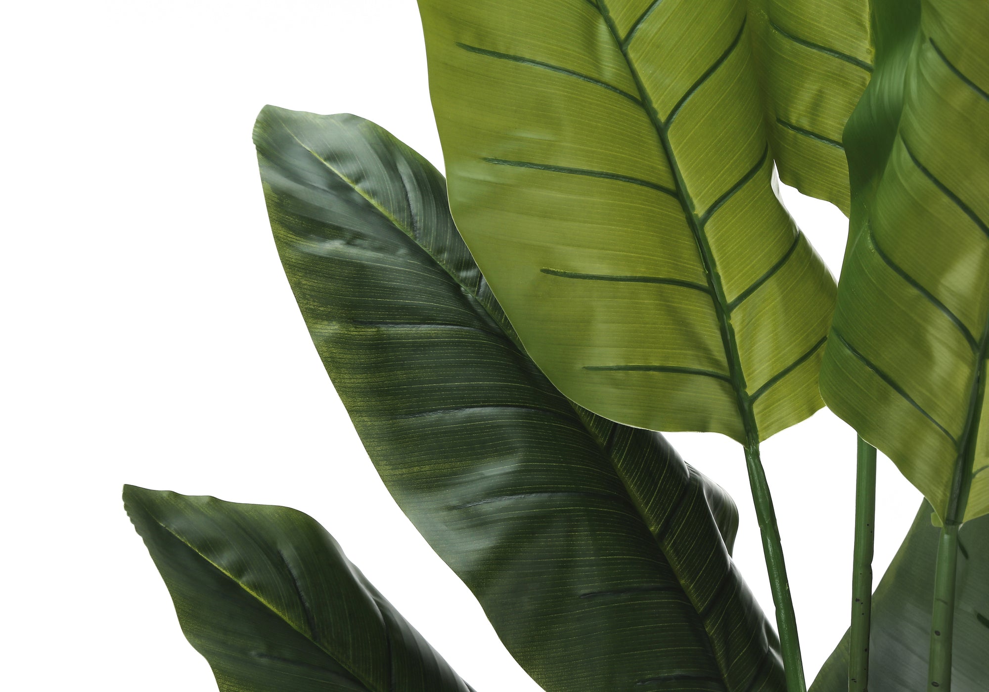 59" Tall Artificial Strelitzia Tree with Pot