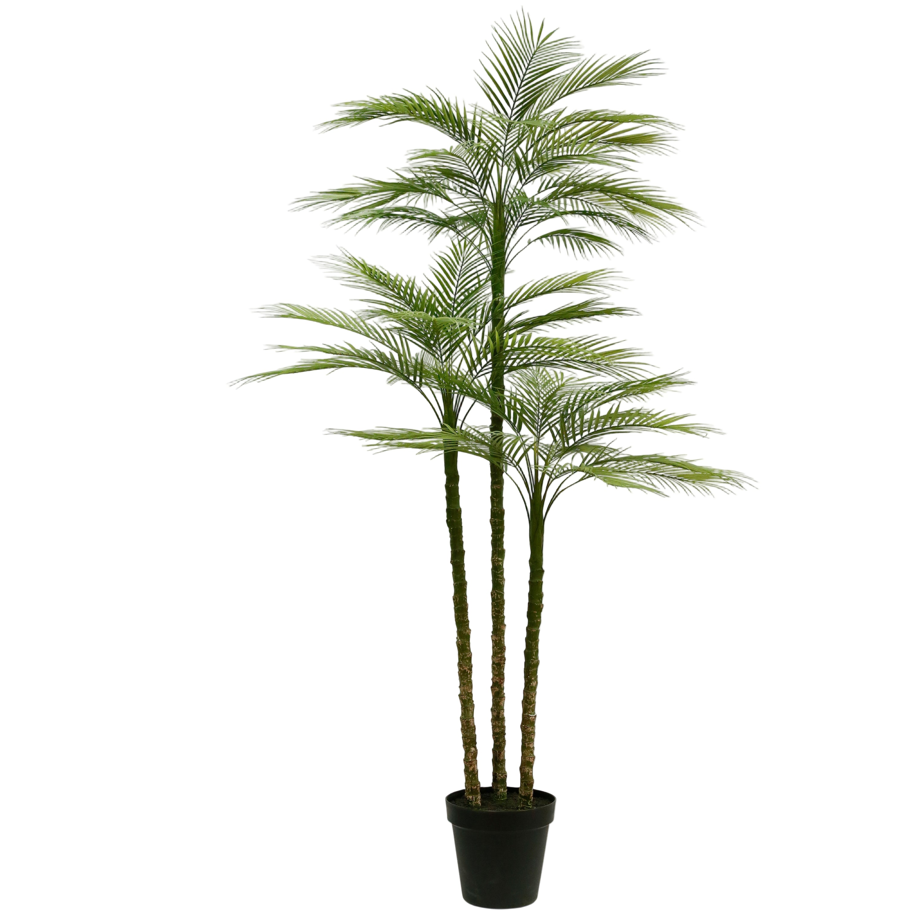 7' Faux Palm Tree on White Background