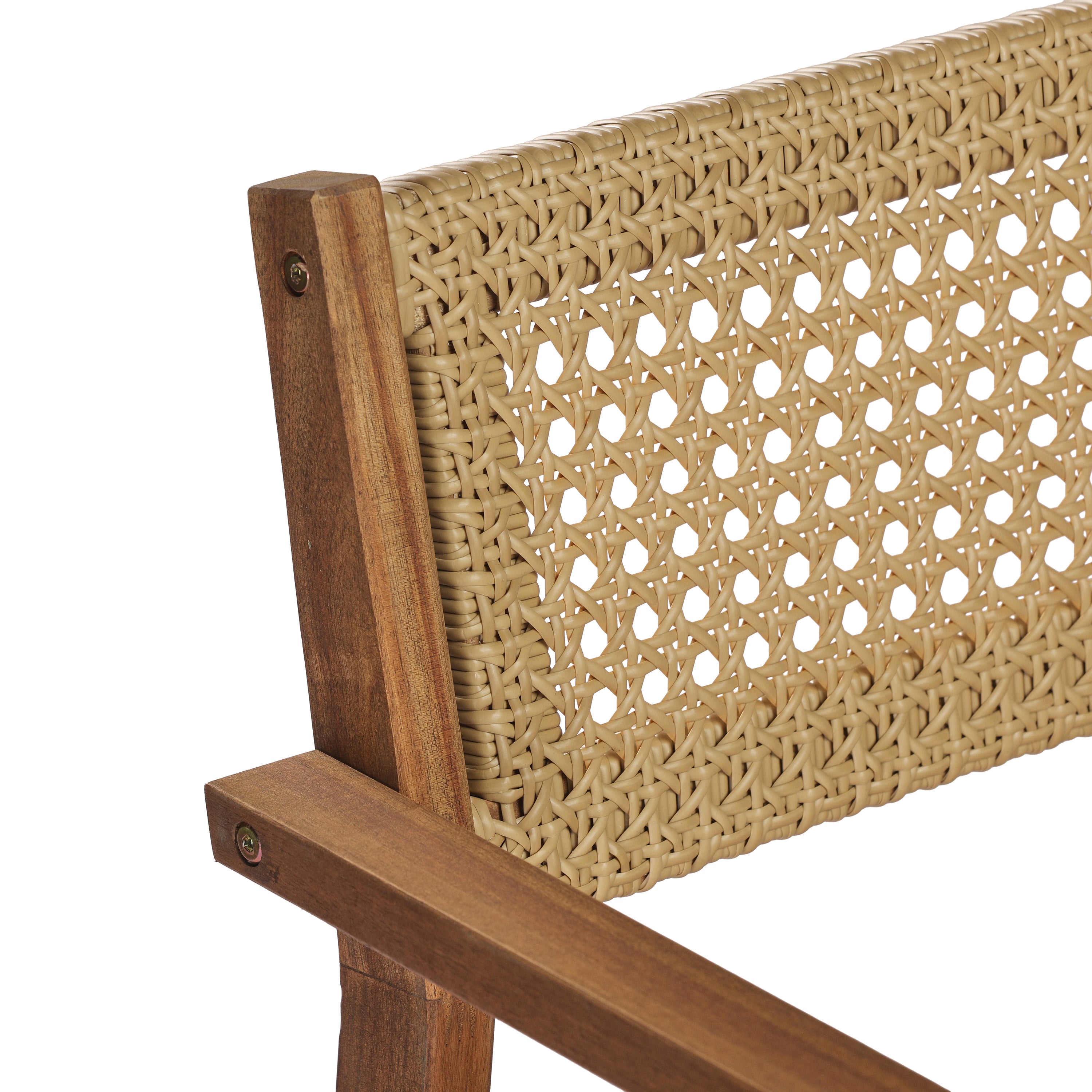 Dining Chair (Set of 2)