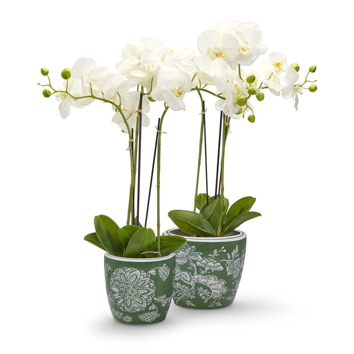 Countryside Hand-Painted Cachepot / Planter, Set of 2