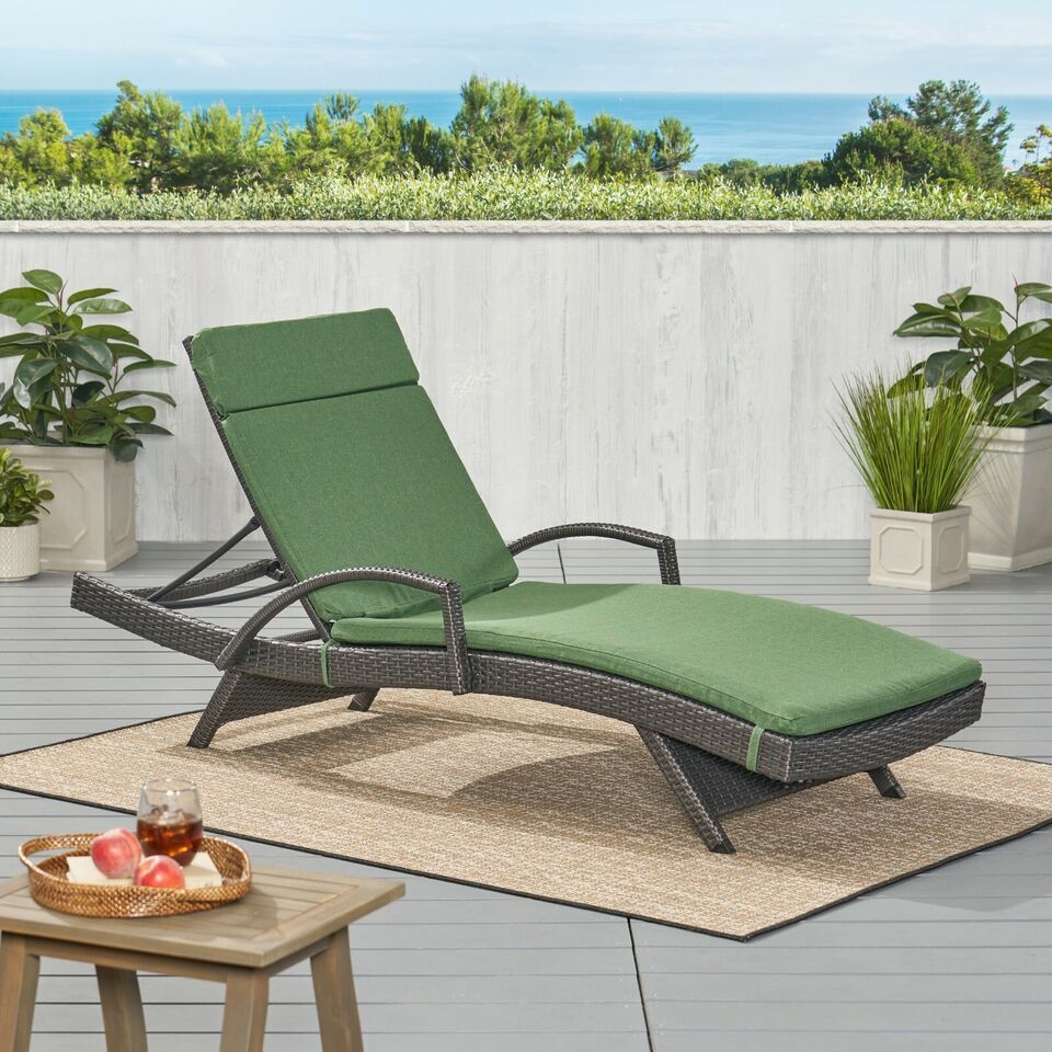Salem Outdoor Chaise Lounge Cushion, Set of 2