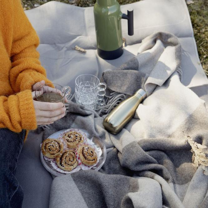 Picnic Outdoor Dinnerware Collection 10 in. Plates, Set of 2 Serveware