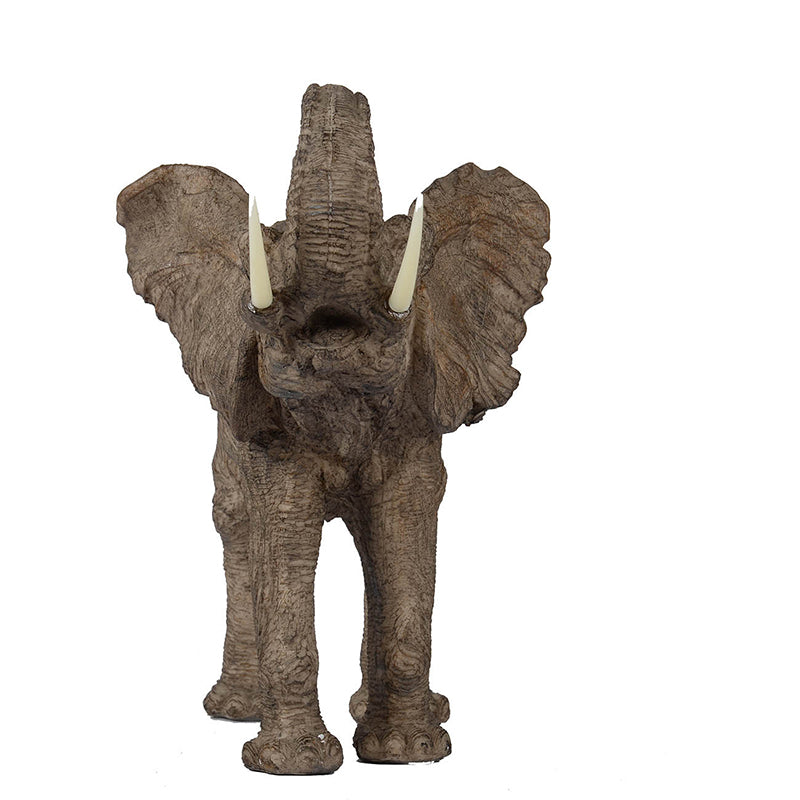 Trumpeting Elephant Accent