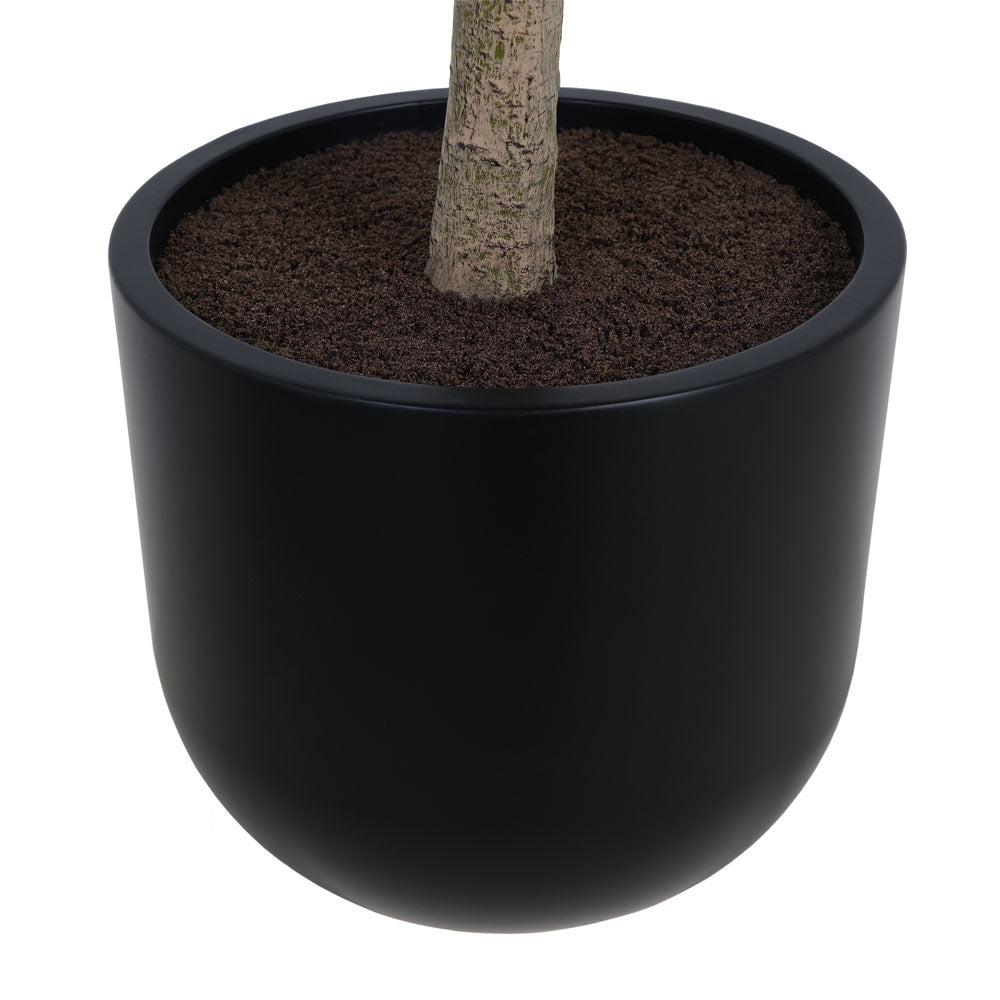 Faux Potted Money Tree, 7 ft