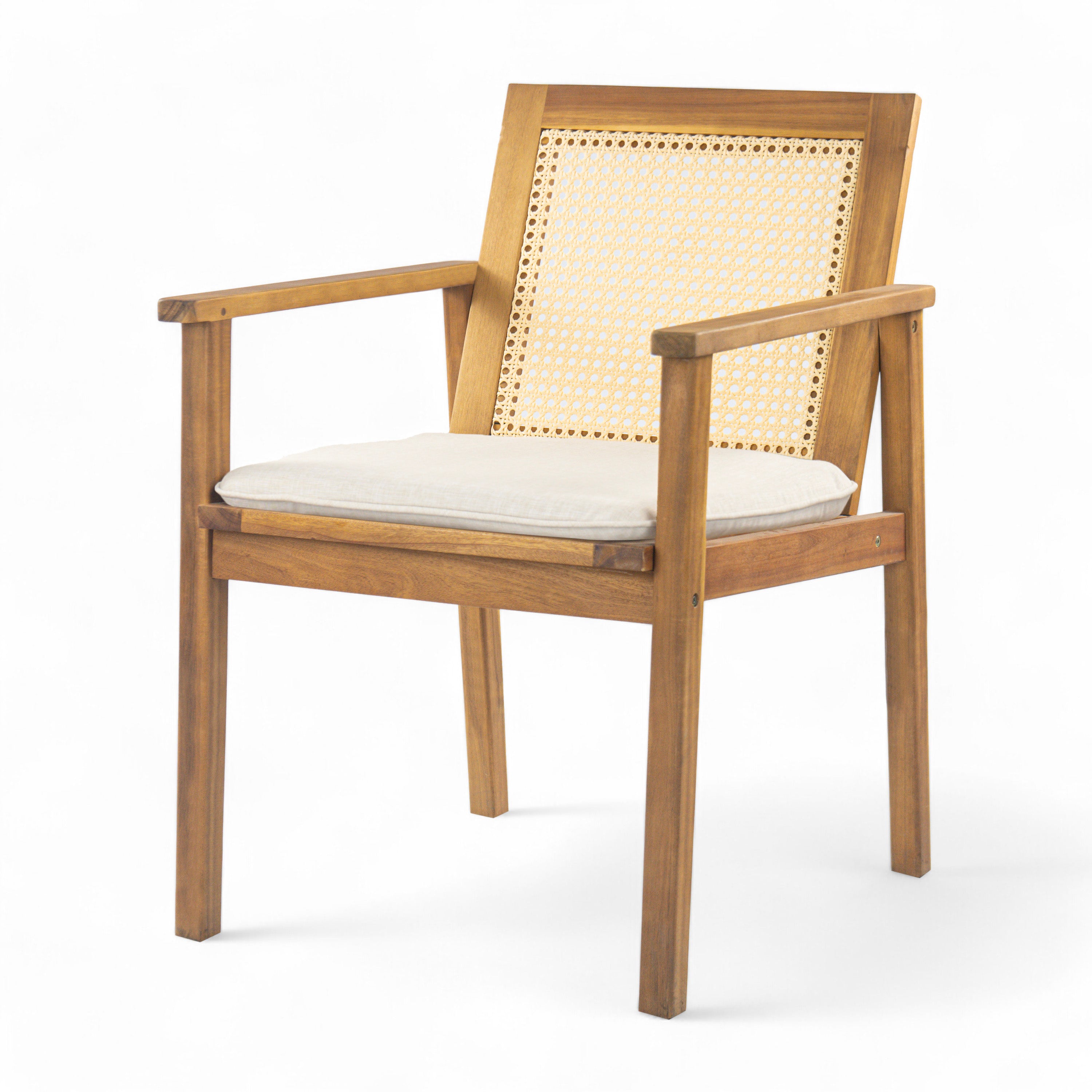 Preston Outdoor Dining Chair with Cushion, Set of 2