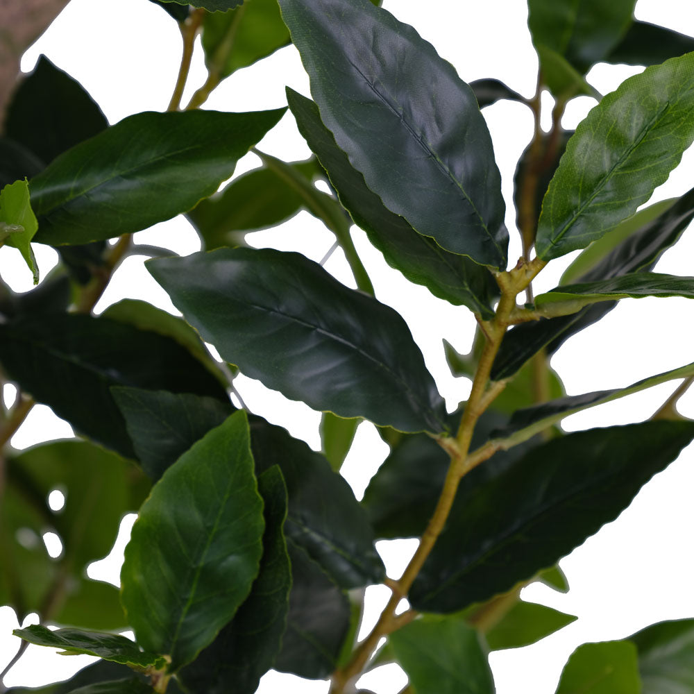 Faux Potted Laurel Tree, 7 ft