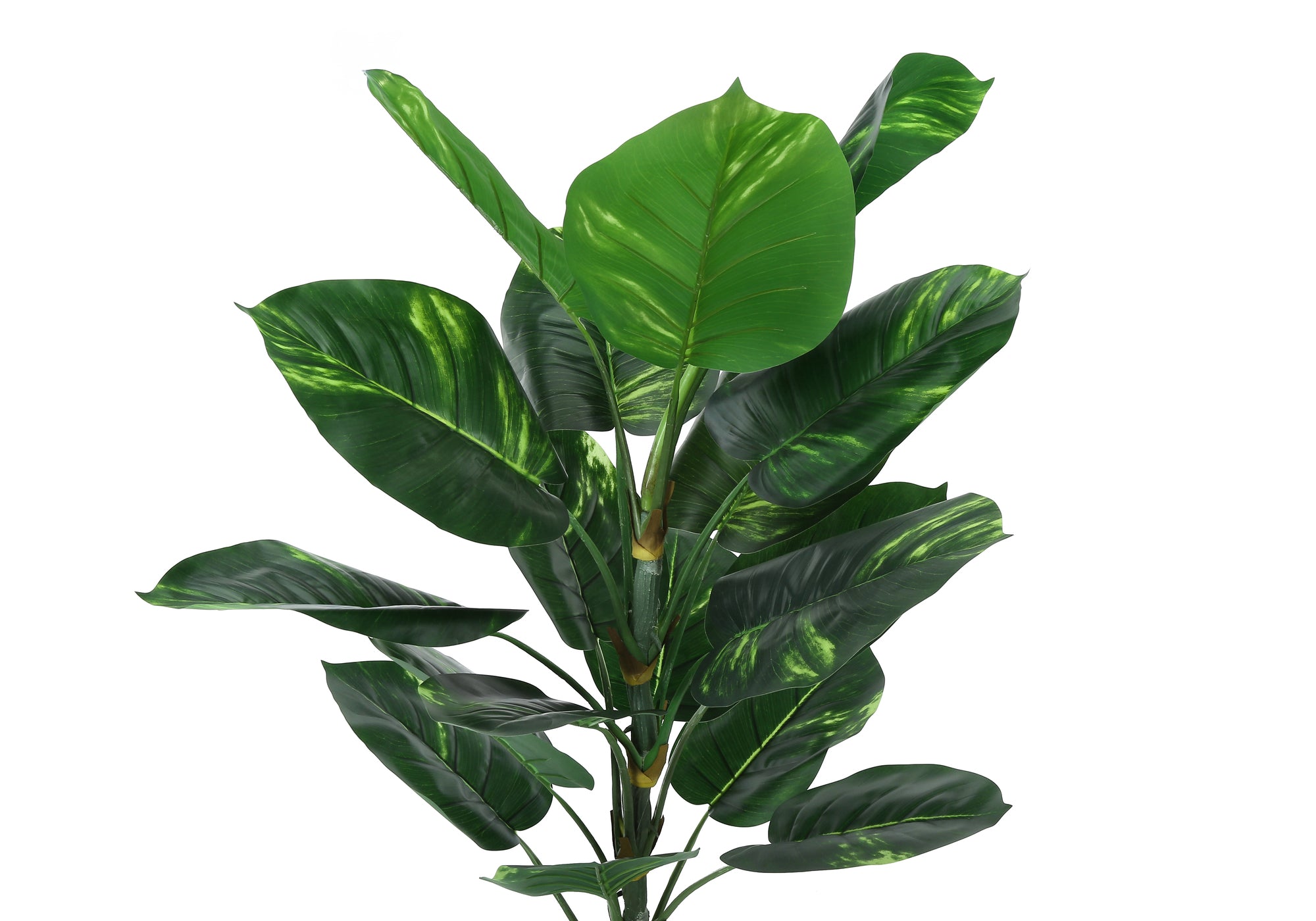 buy dieffenbachia tree 54" Faux Dieffenbachia Tree – Pier 1