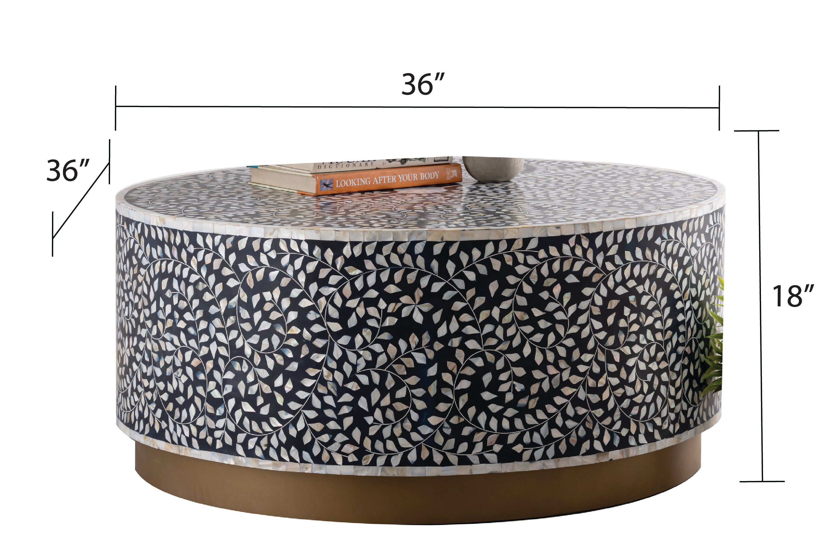 Pier 1 Coffee Table