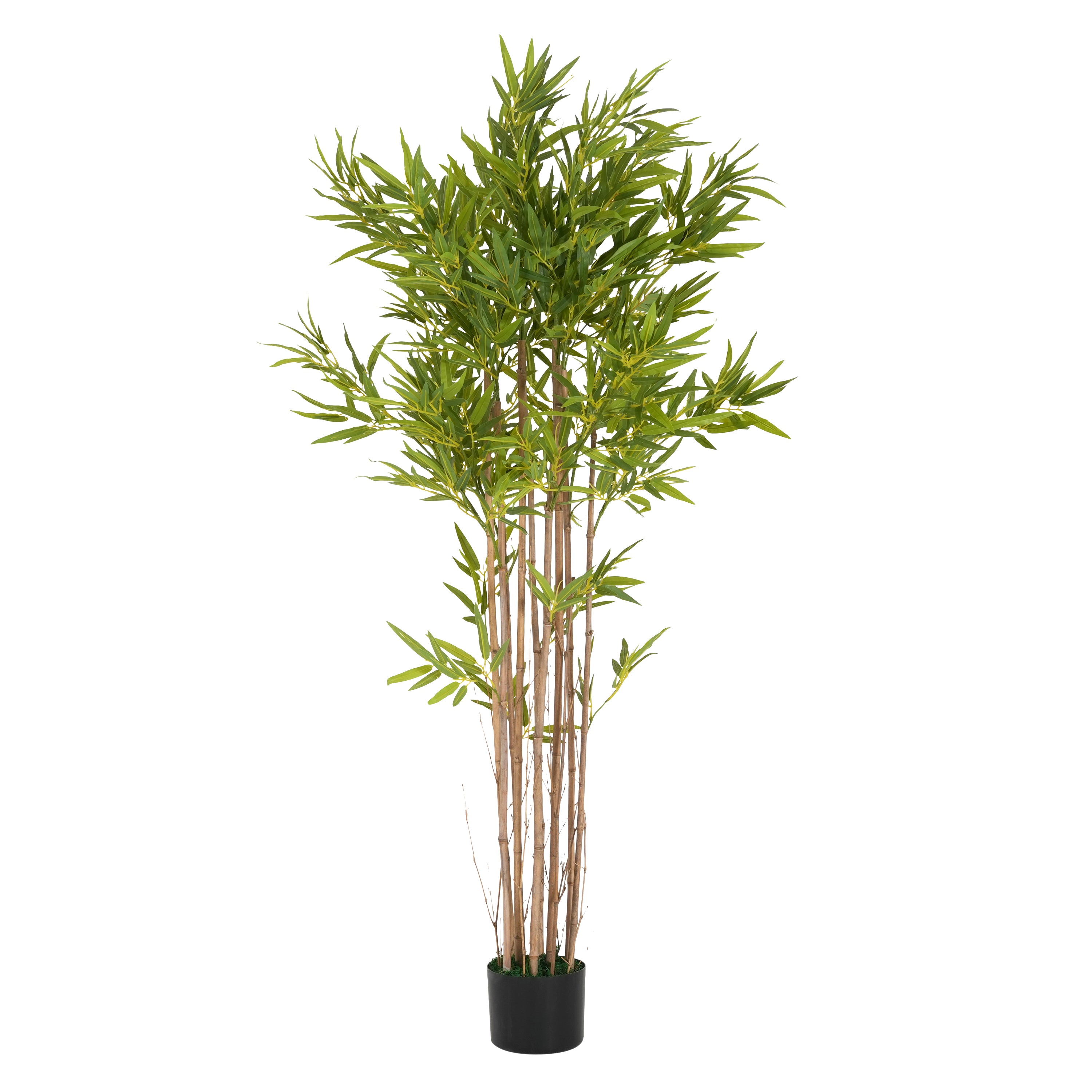 70" Artificial Bamboo with Black Plastic Pot