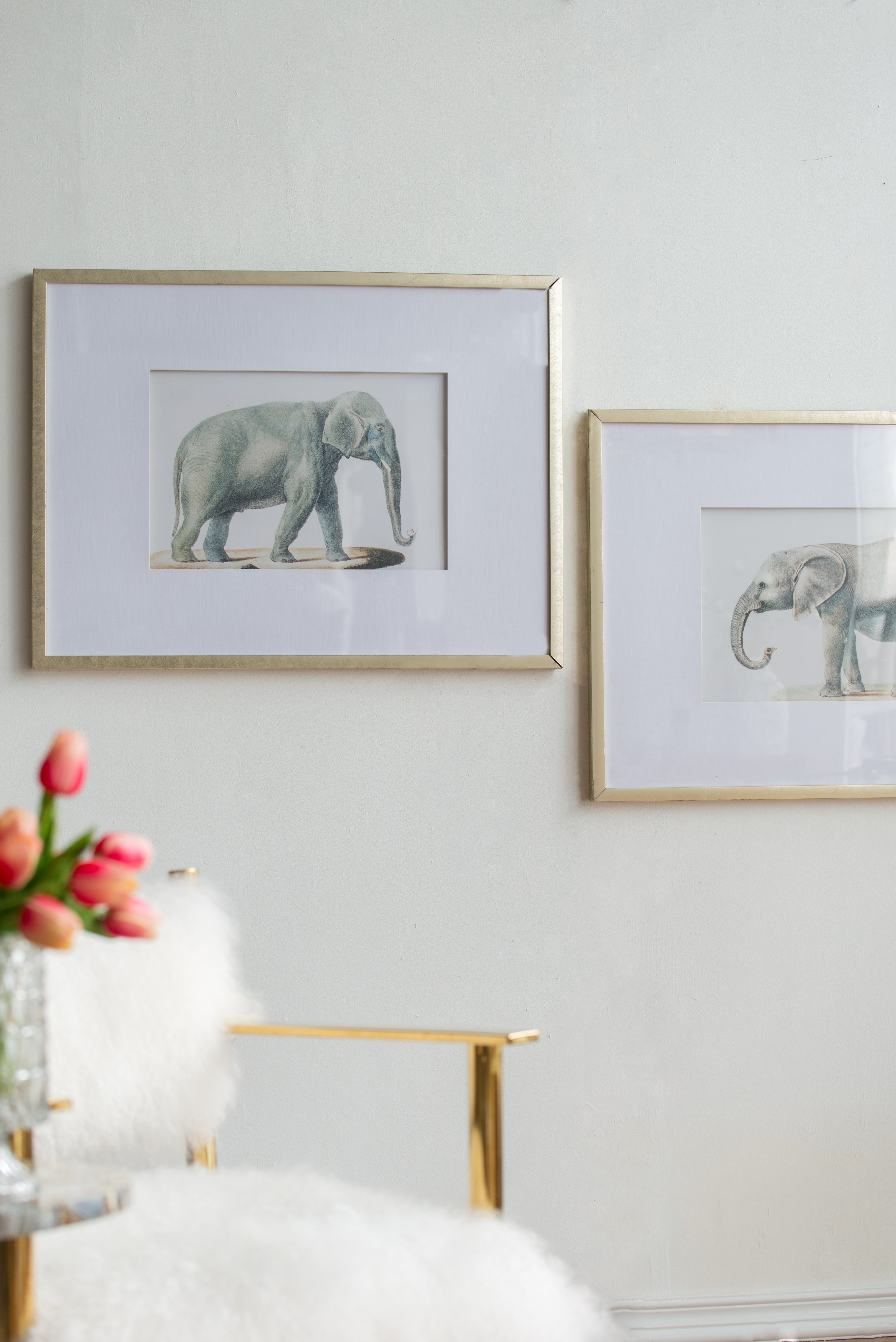Elephant Pencil Drawings, Set of 2