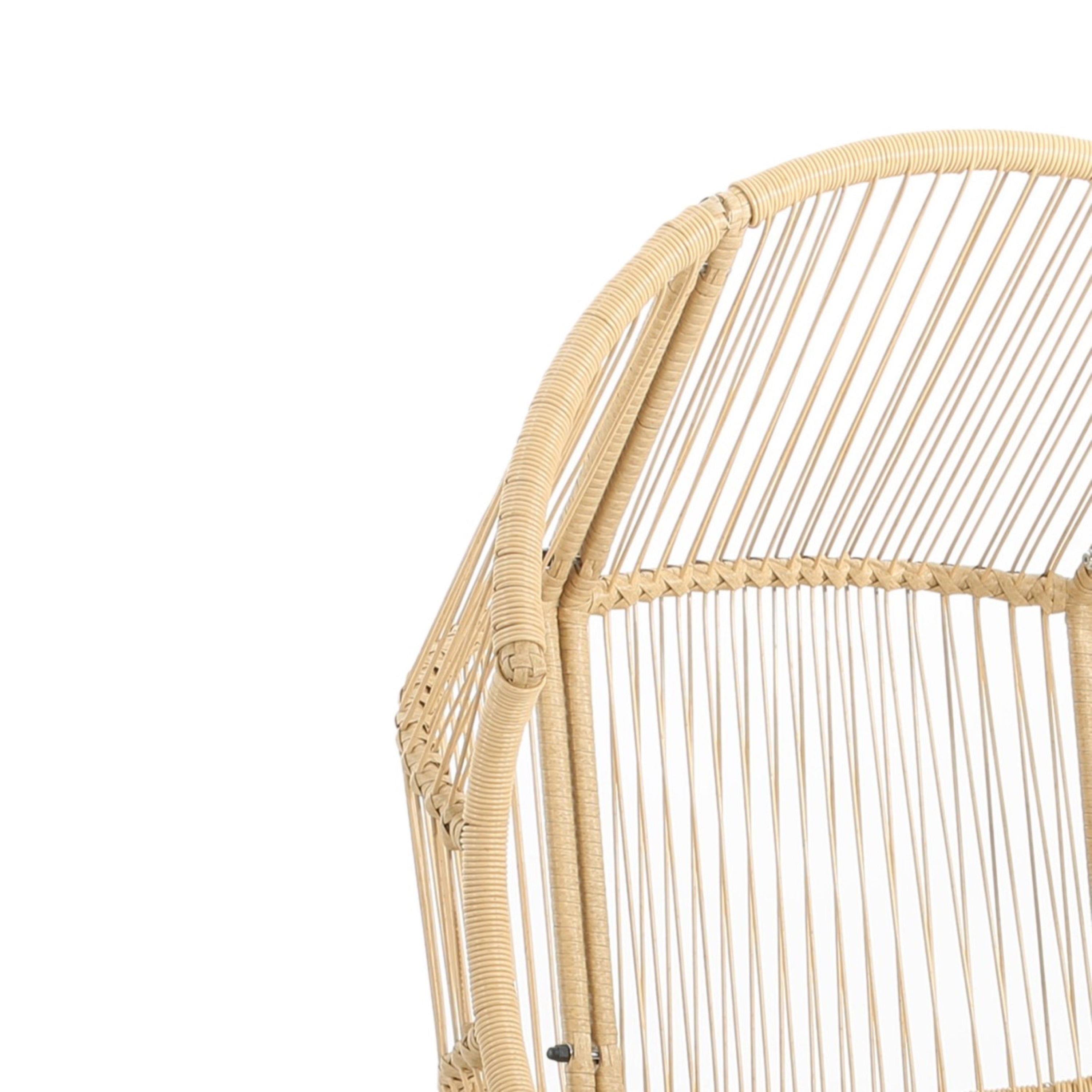 Variscite Outdoor Wicker Glider Chair with Cushion Seat
